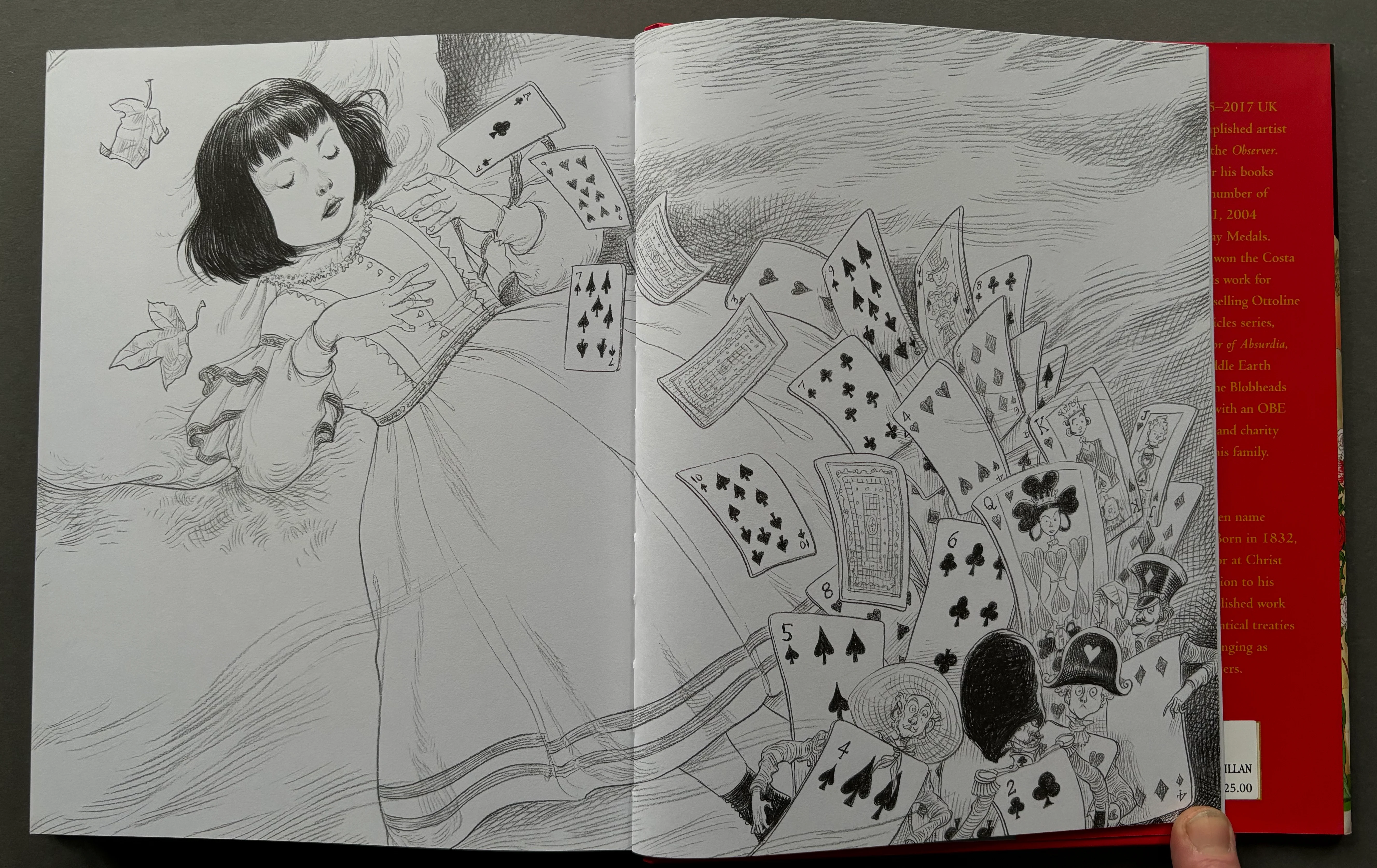 Chris Riddell's Alice's Adventures in Wonderland - Image 5
