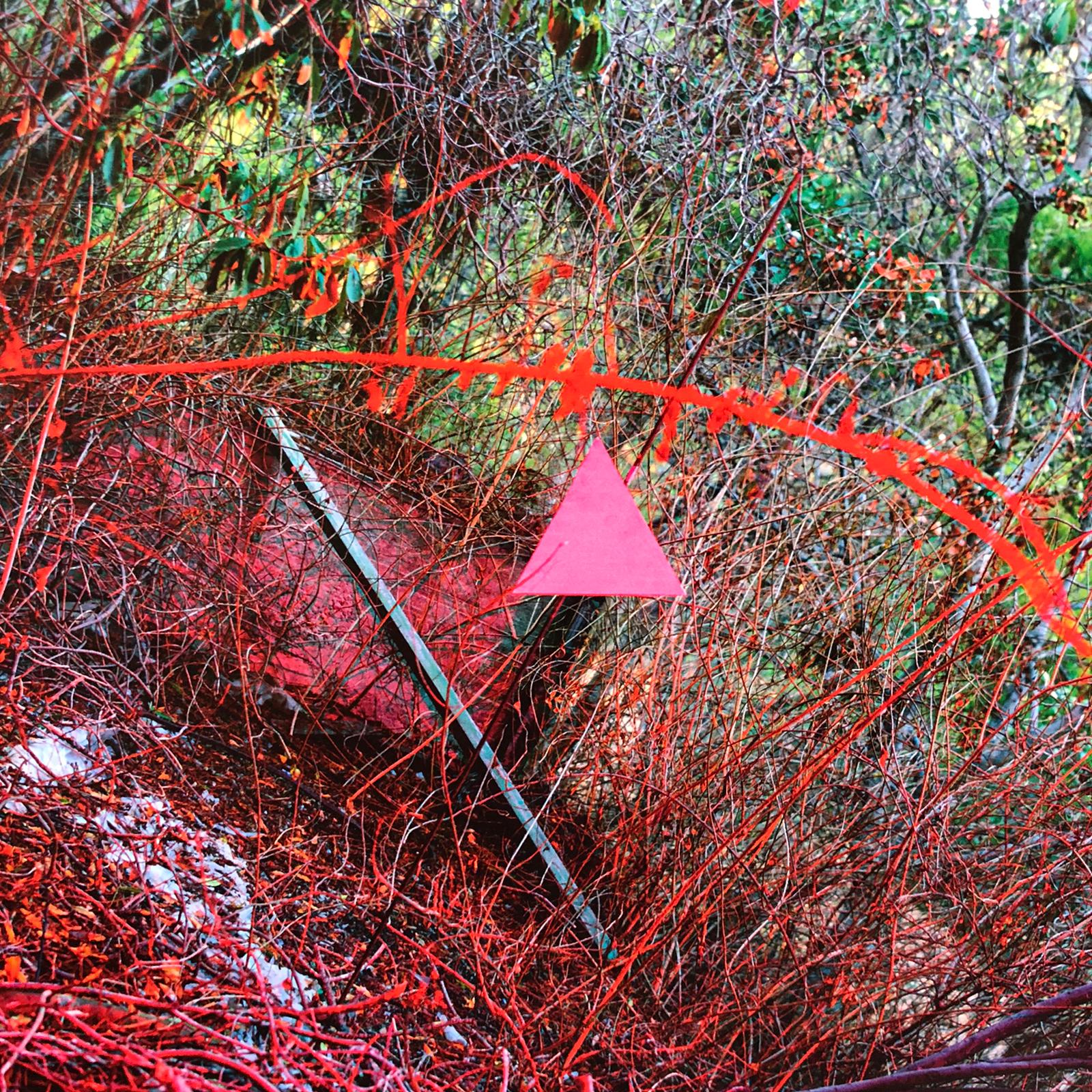 Chroma - Image 3