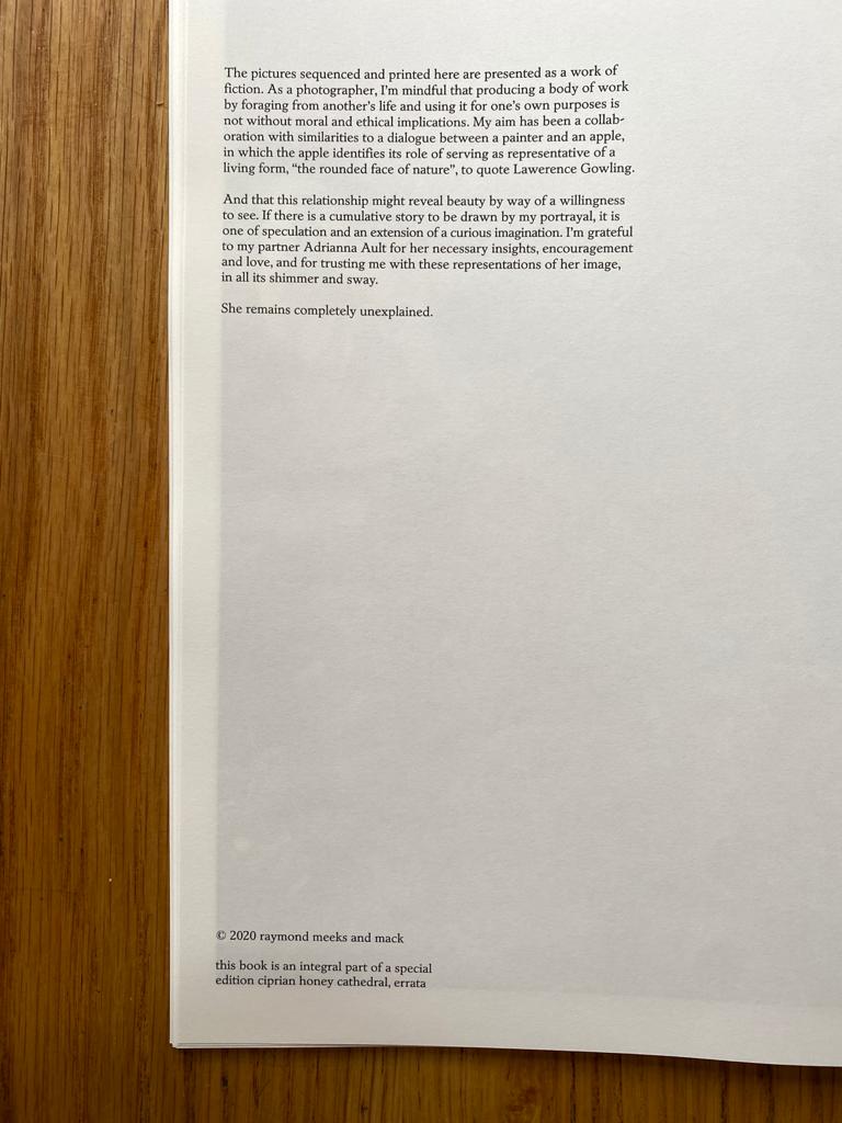 ciprian honey cathedral/Errata Special Edition) - Image 27