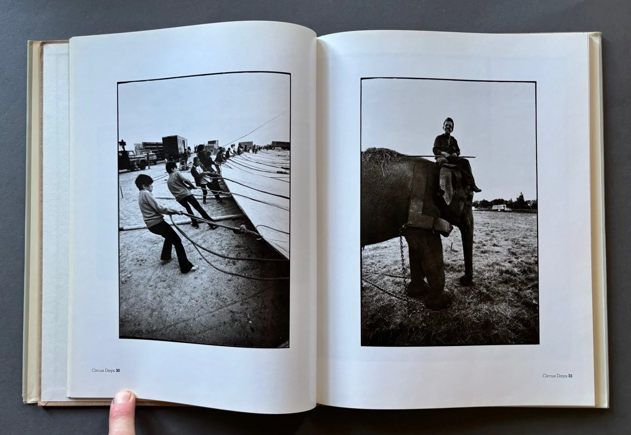 Circus Days - Image 3