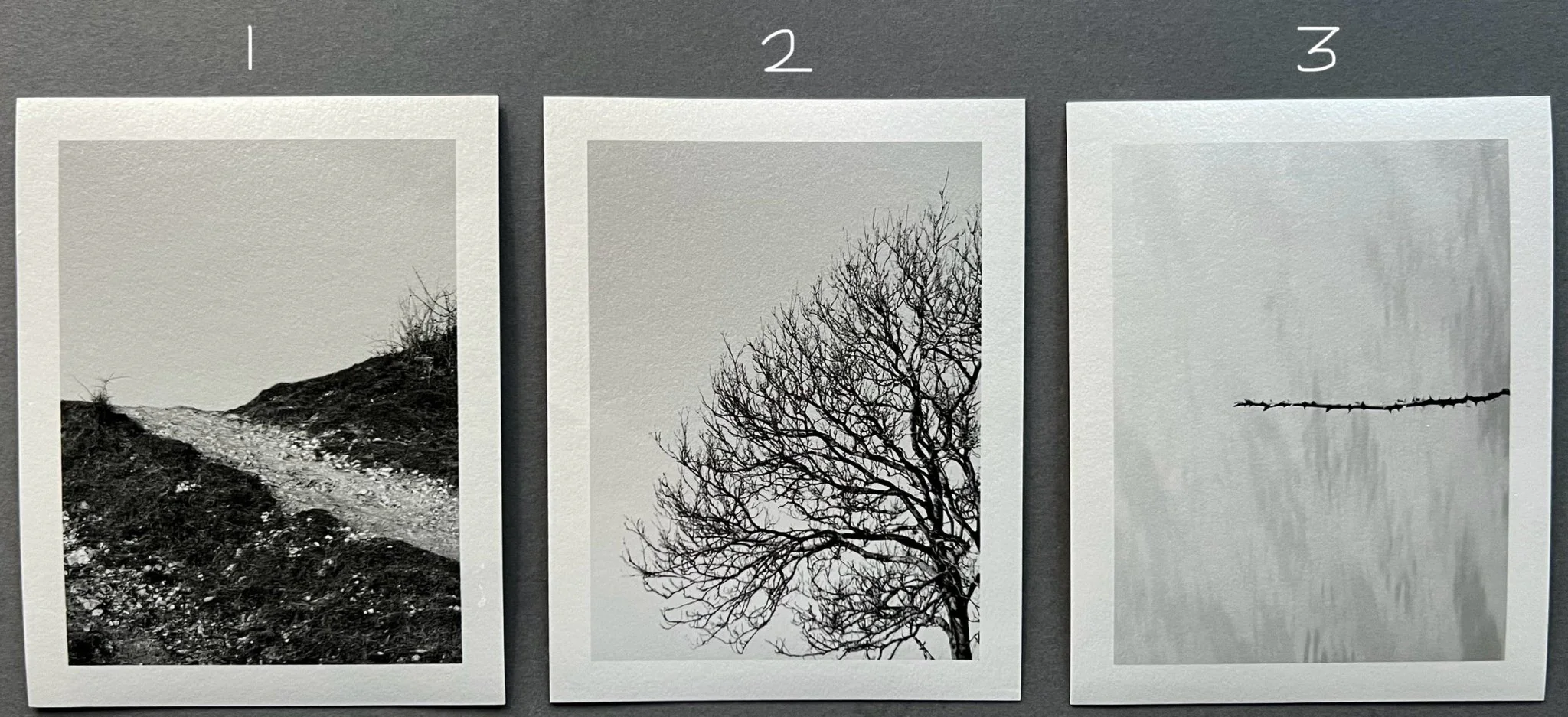 Brythonic - Image 6
