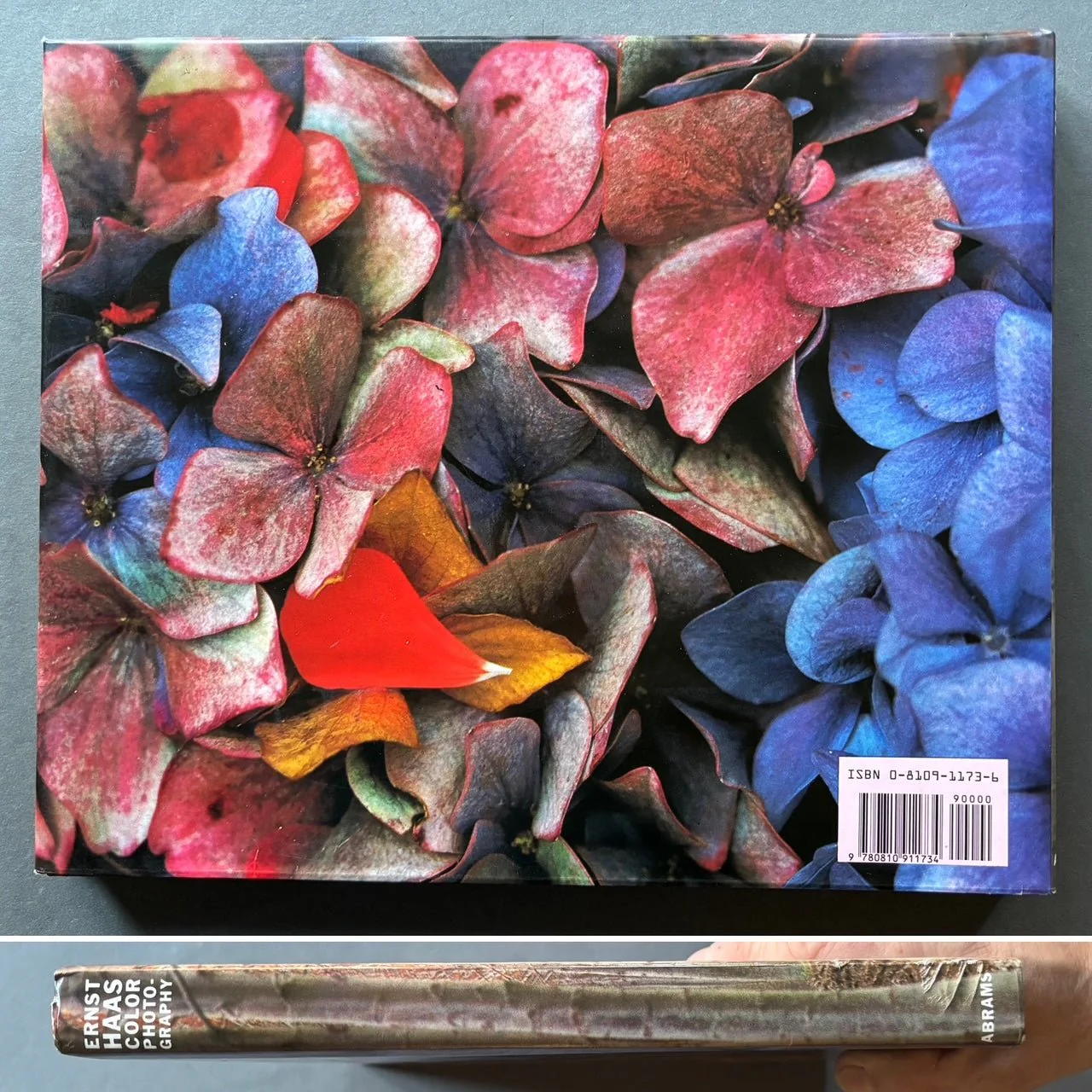 Color Photography - Image 7
