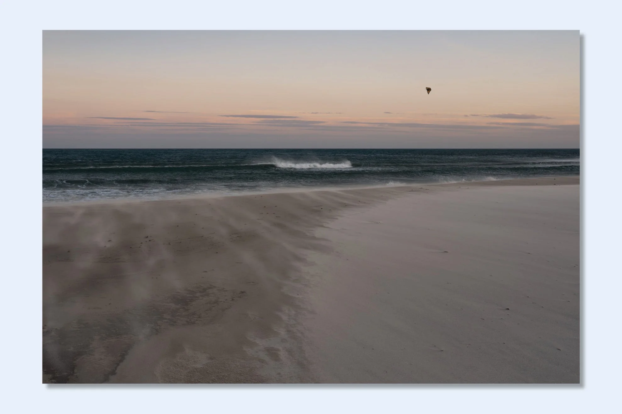 Constant Bloom - Image 7