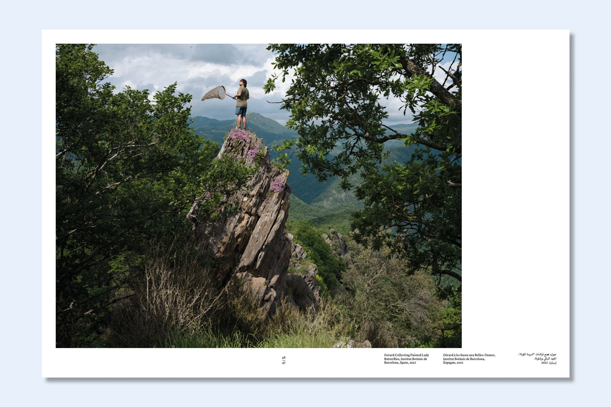 Constant Bloom - Image 8