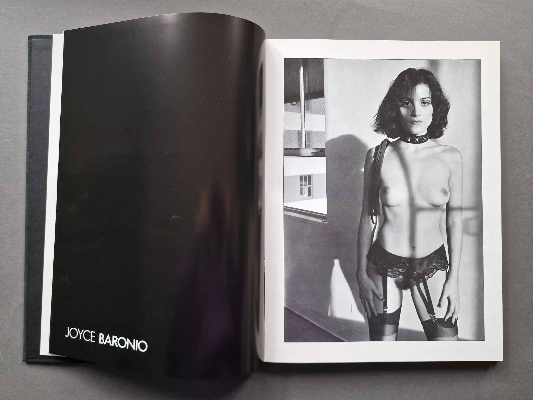 Contemporary American Erotic Photography Volume 1 - Image 4
