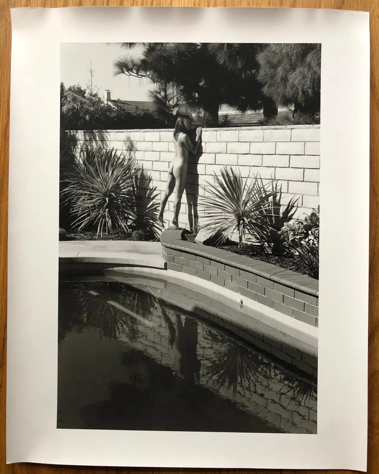 Contemporary Suburbium (Special Print Edition) - Image 3