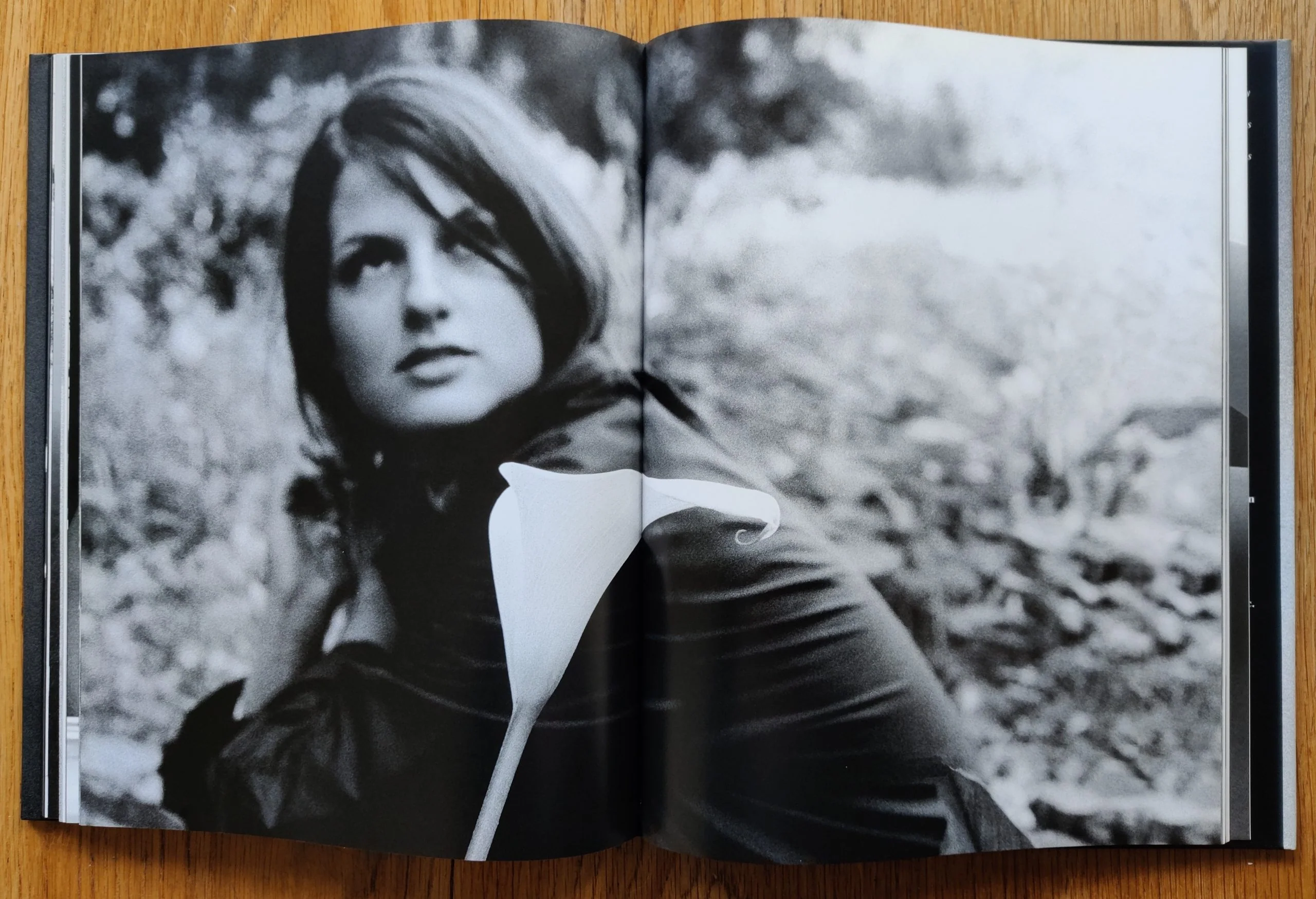 Cowboy Kate & Other Stories - Image 6