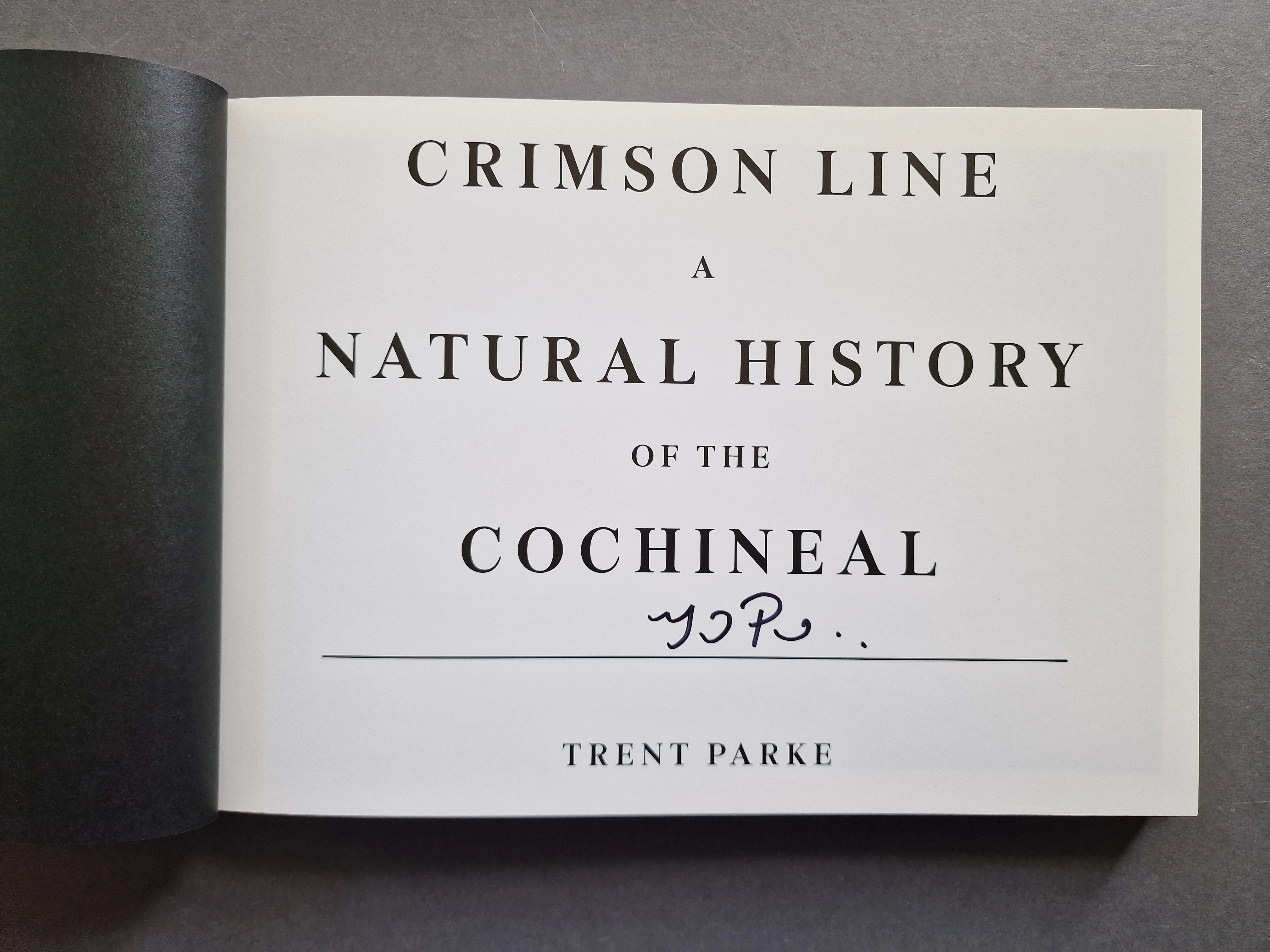 Crimson Line - 1st - Image 2