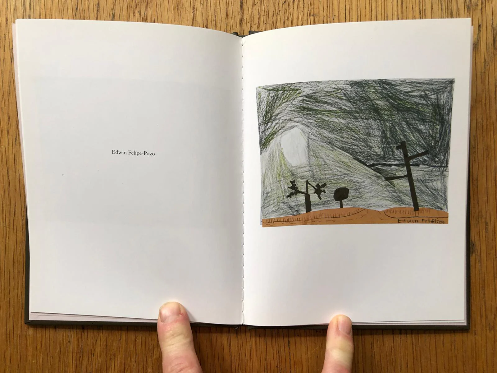 Crooked Cracked Tree in Fog (One Picture Book) - Image 5