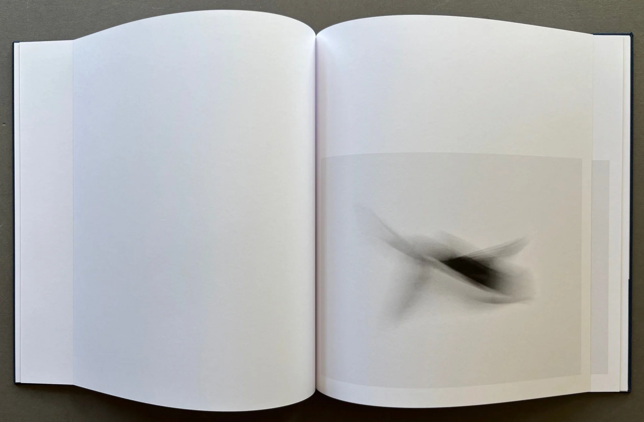 Crows Ascending - Image 3