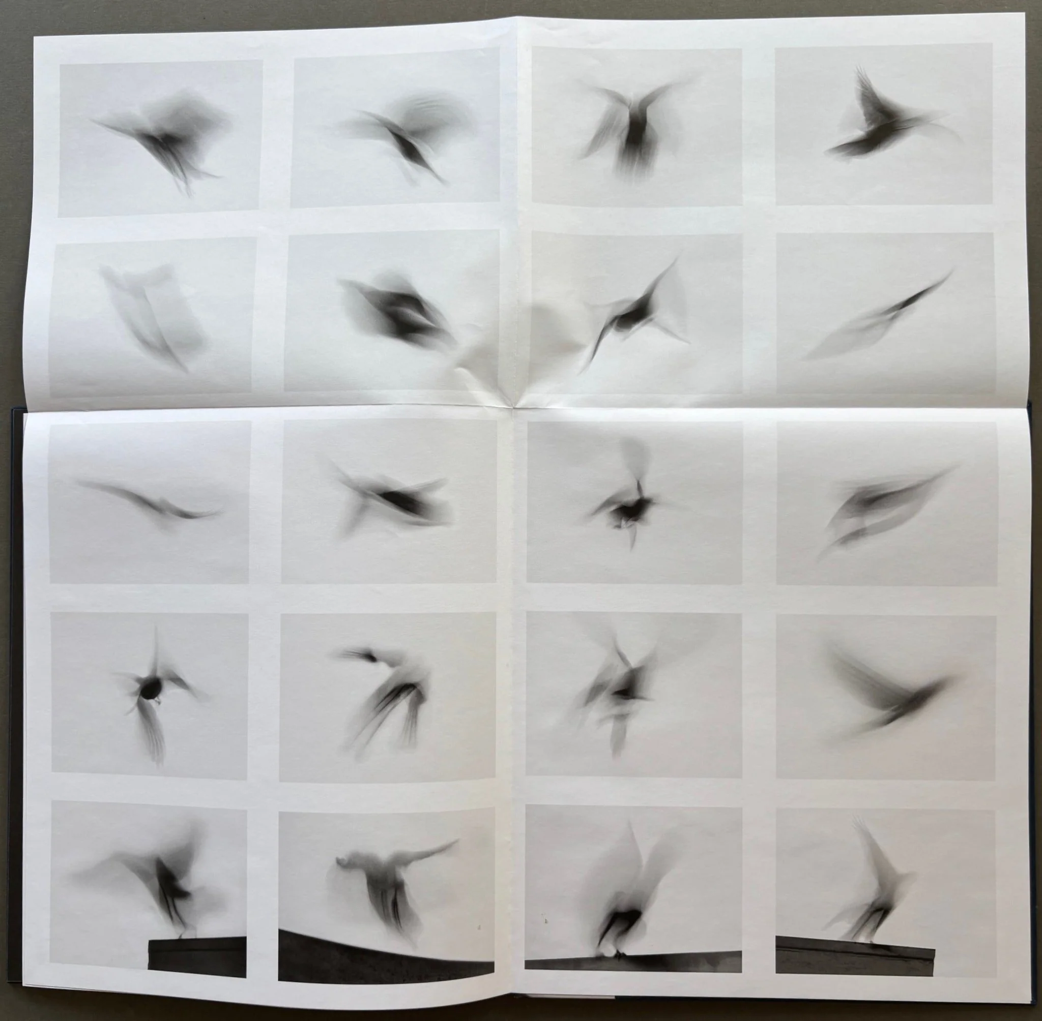 Crows Ascending - Image 4