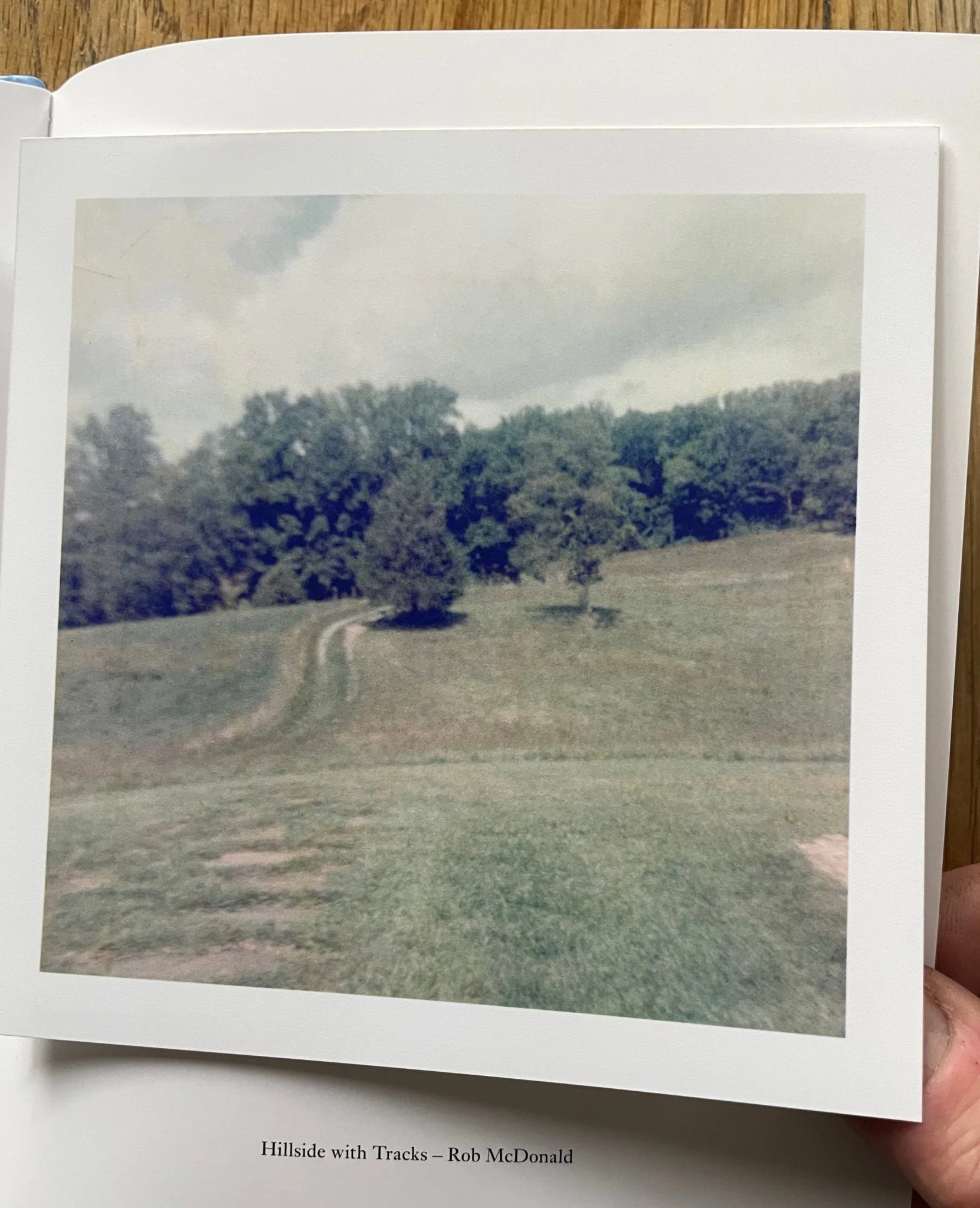 Cy's Rollei (One Picture Book) - Image 3