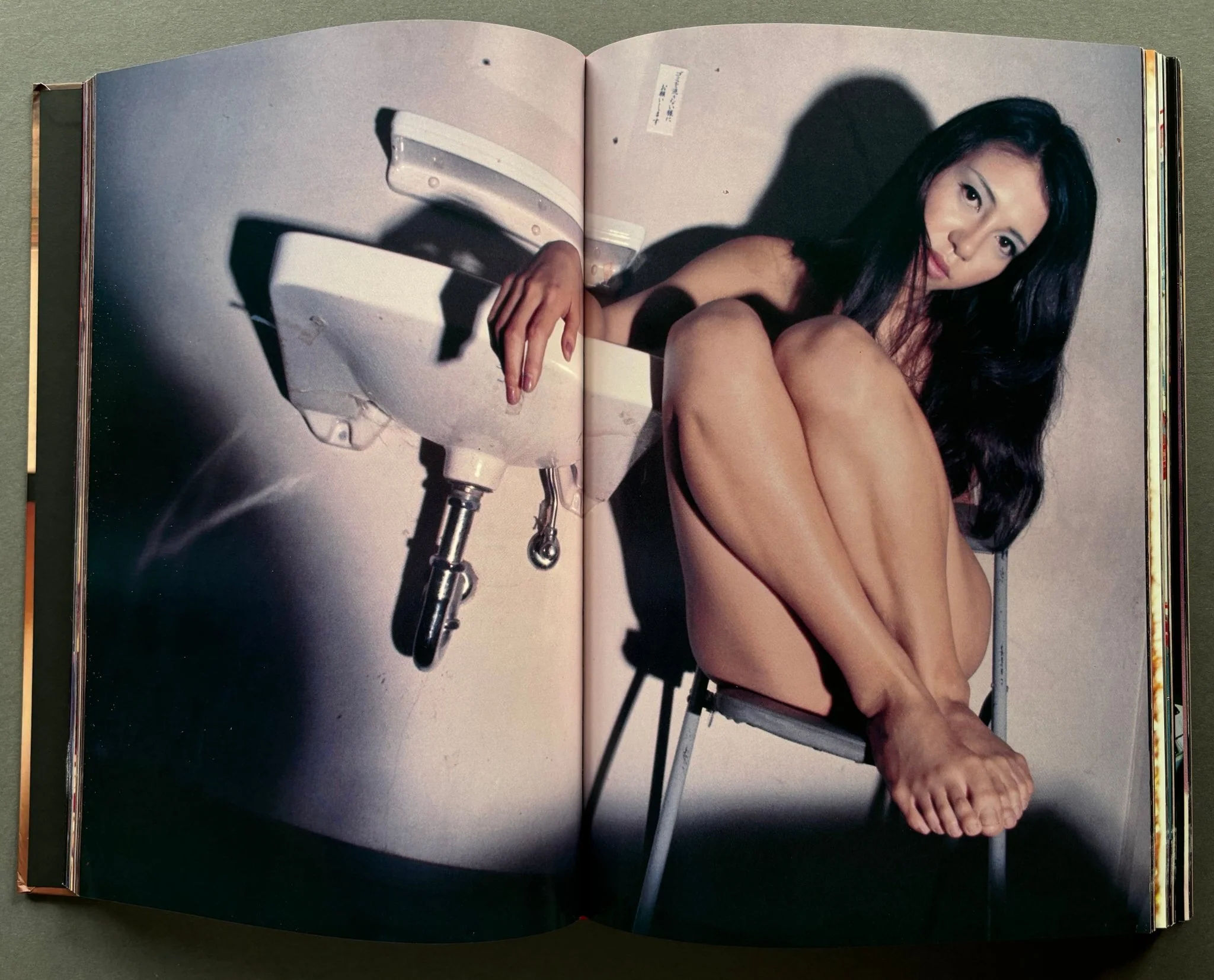 Daido Moriyama In Colour: Now, and Never Again - Image 2