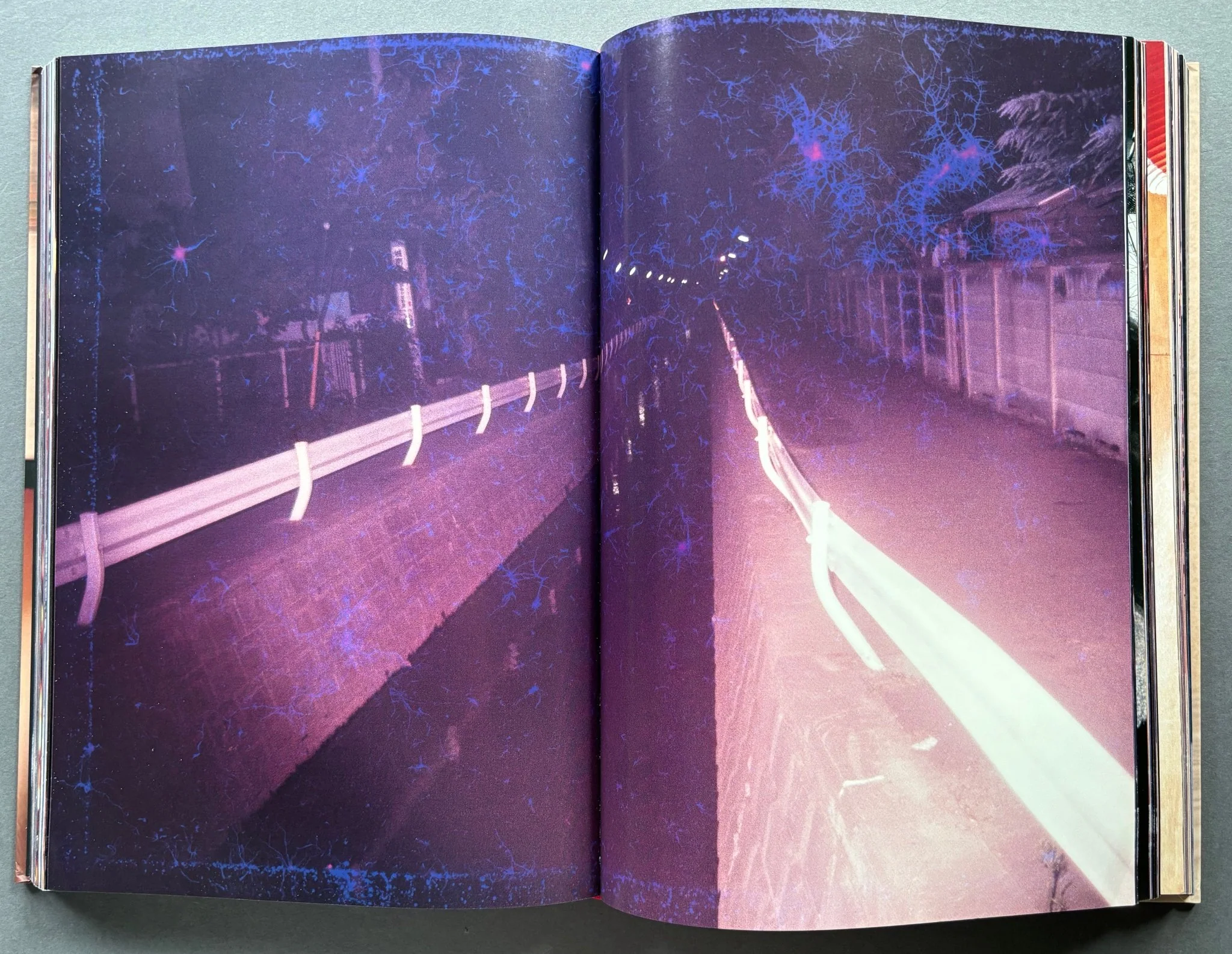 Daido Moriyama In Colour: Now, and Never Again - Image 3