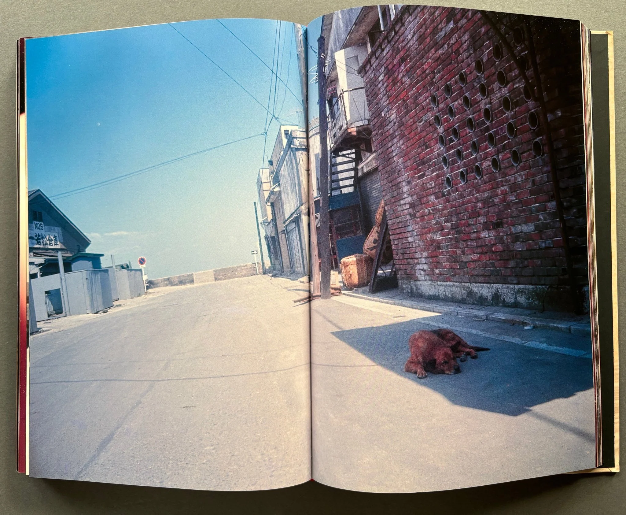 Daido Moriyama In Colour: Now, and Never Again - Image 4