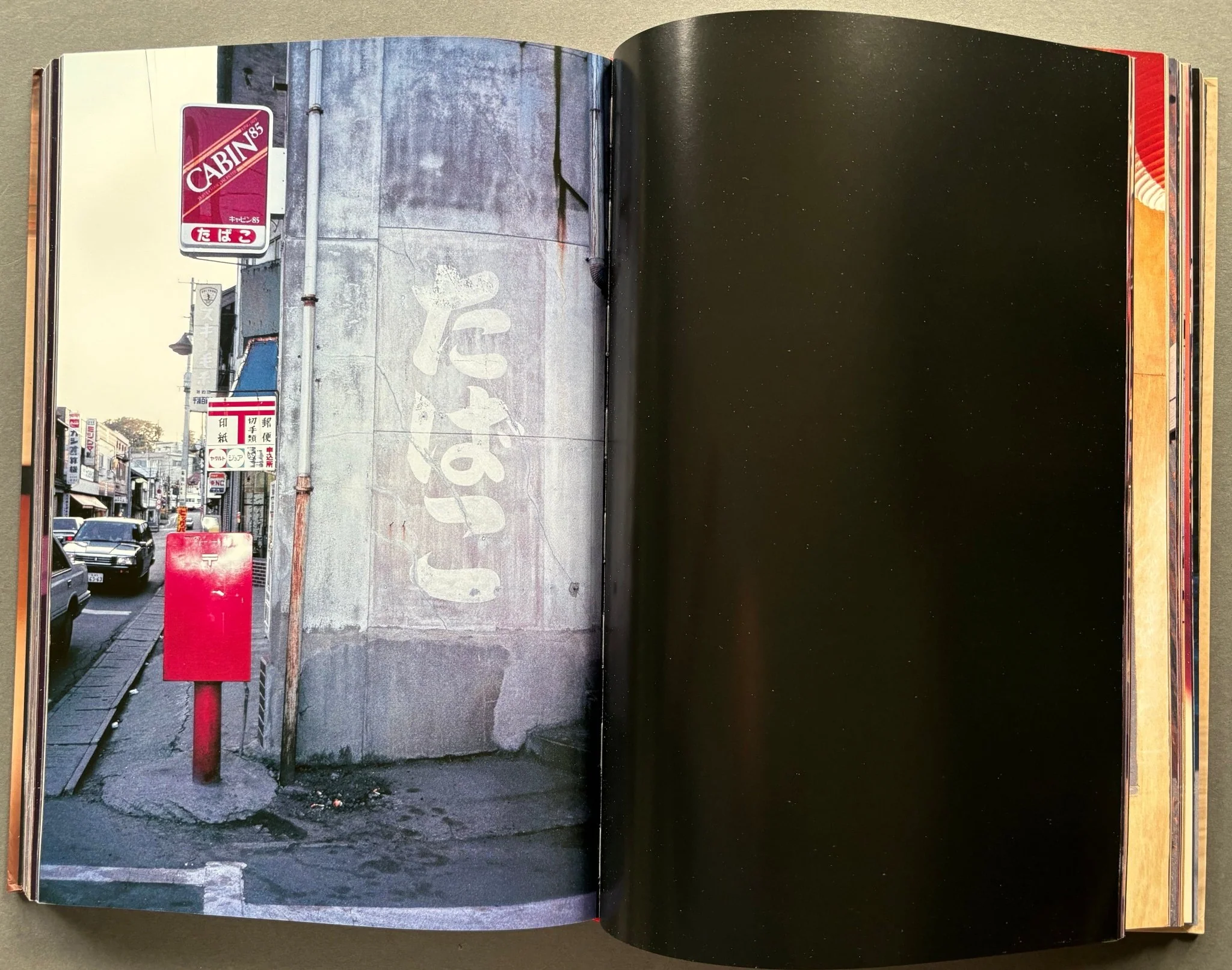 Daido Moriyama In Colour: Now, and Never Again - Image 5