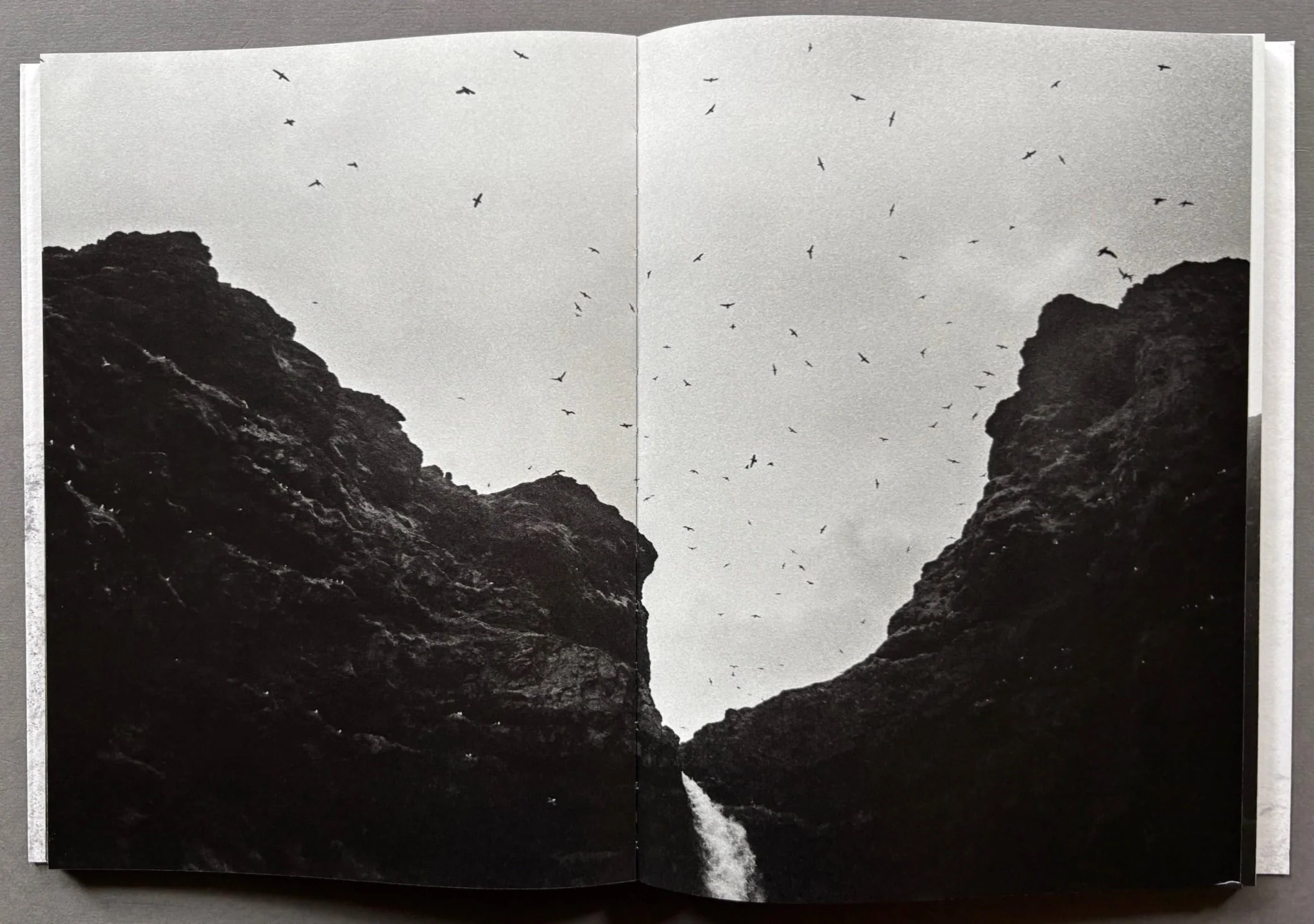 Dark Light - Image 3