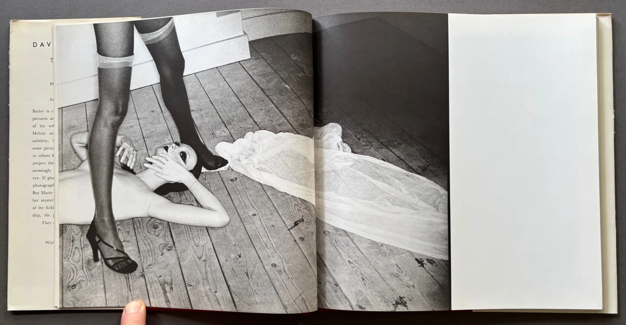 David Bailey's Trouble and Strife - Image 3