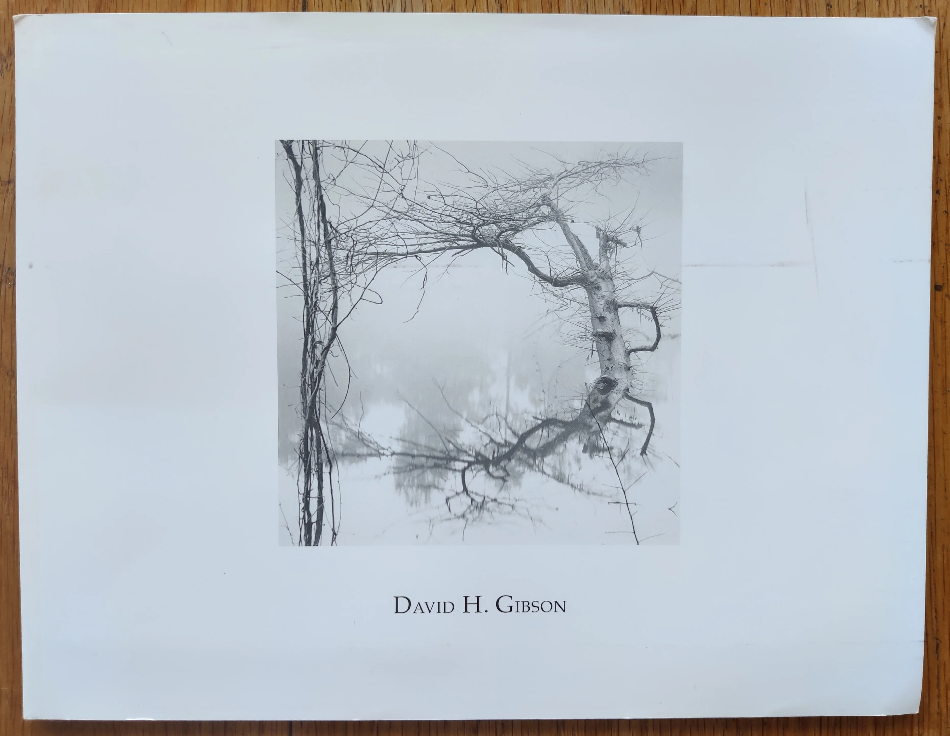 David H. Gibson