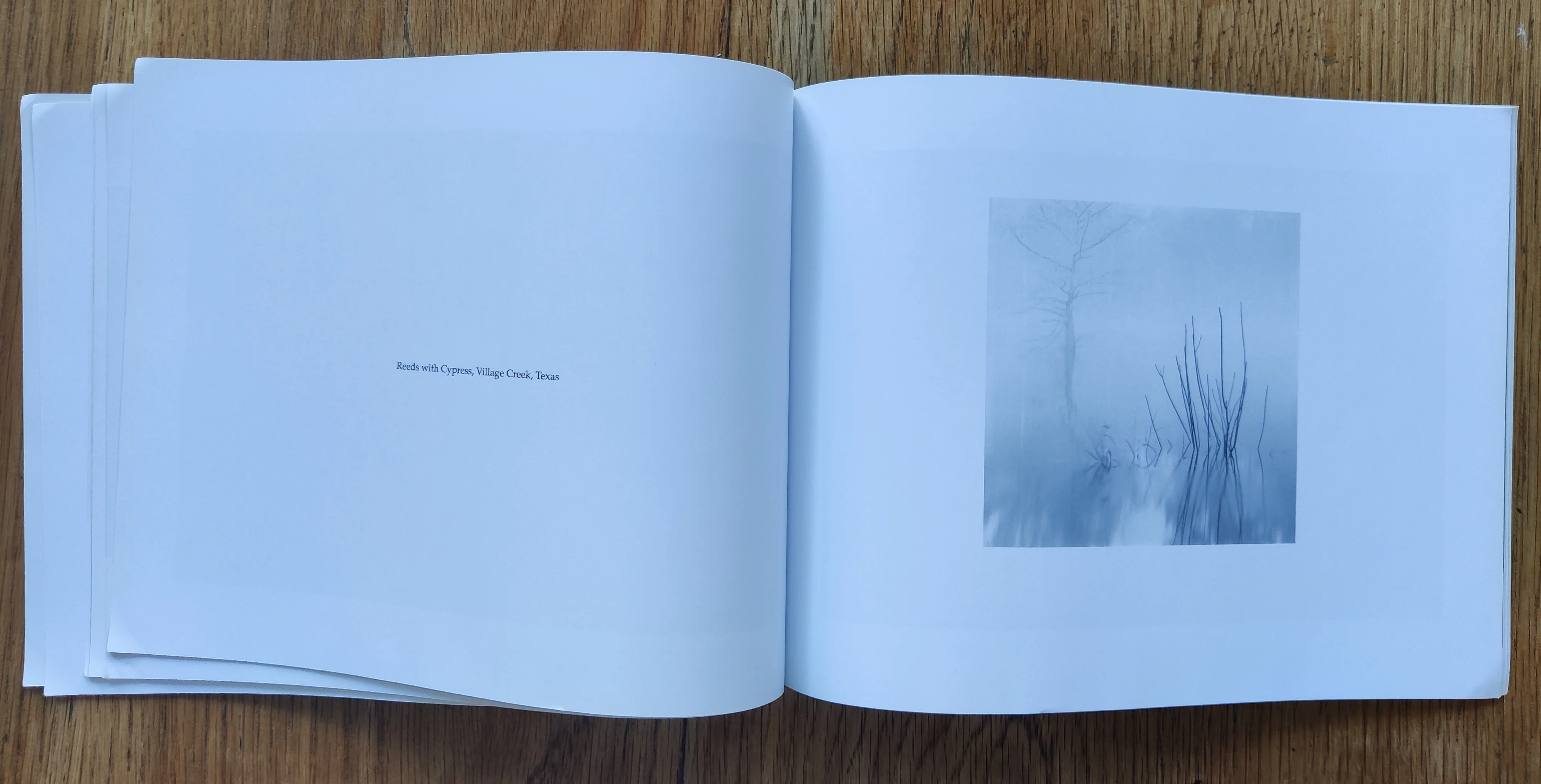 David H. Gibson - Image 7