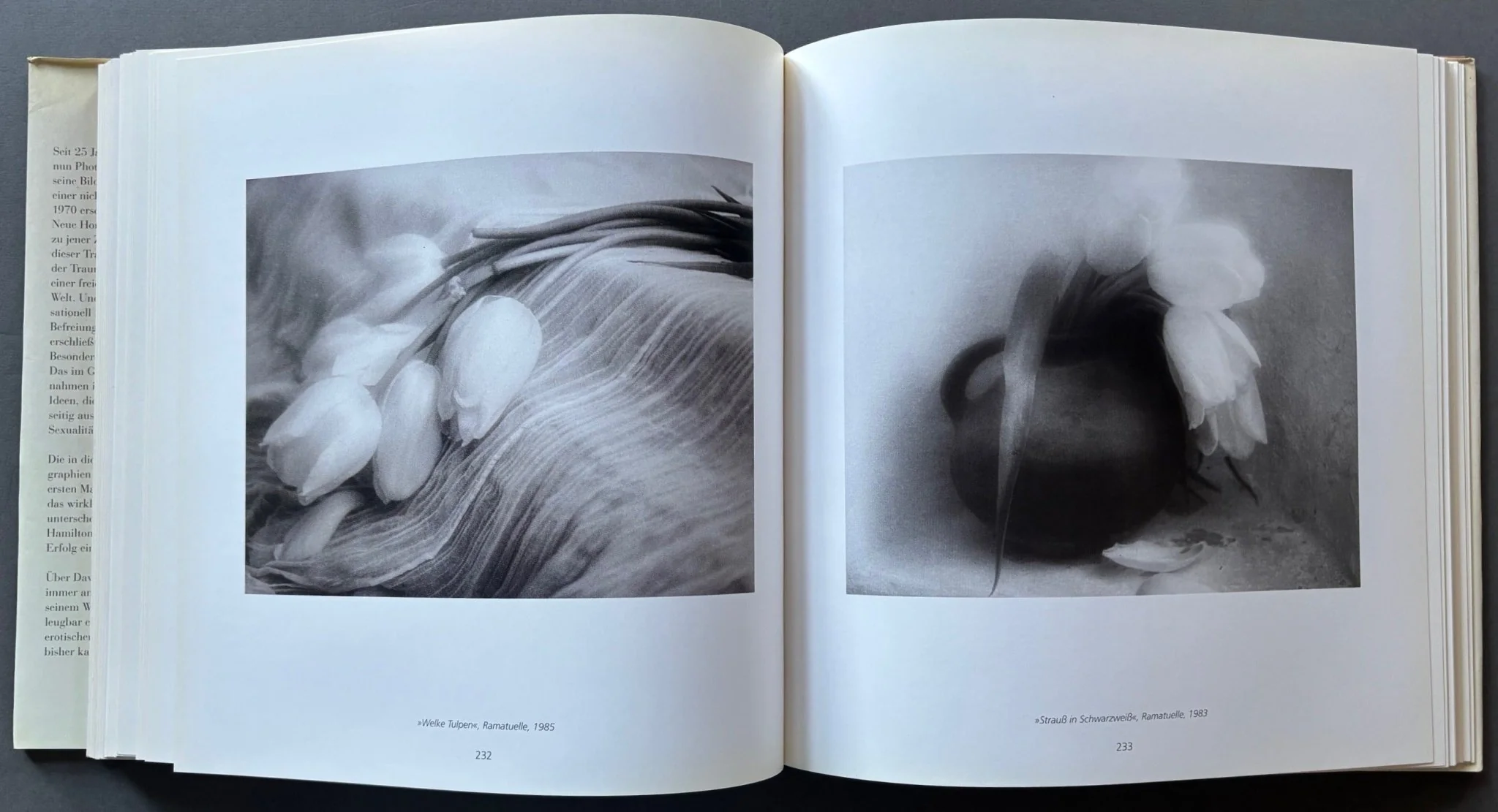 David Hamilton: Seine Besten Bilder (His Best Pictures) 1965-1990 - Image 4
