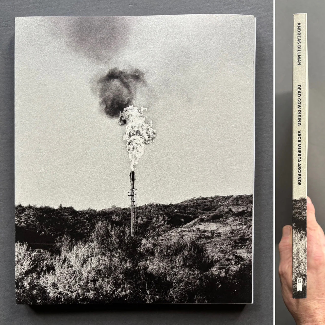 Dead Cow Rising - Image 7