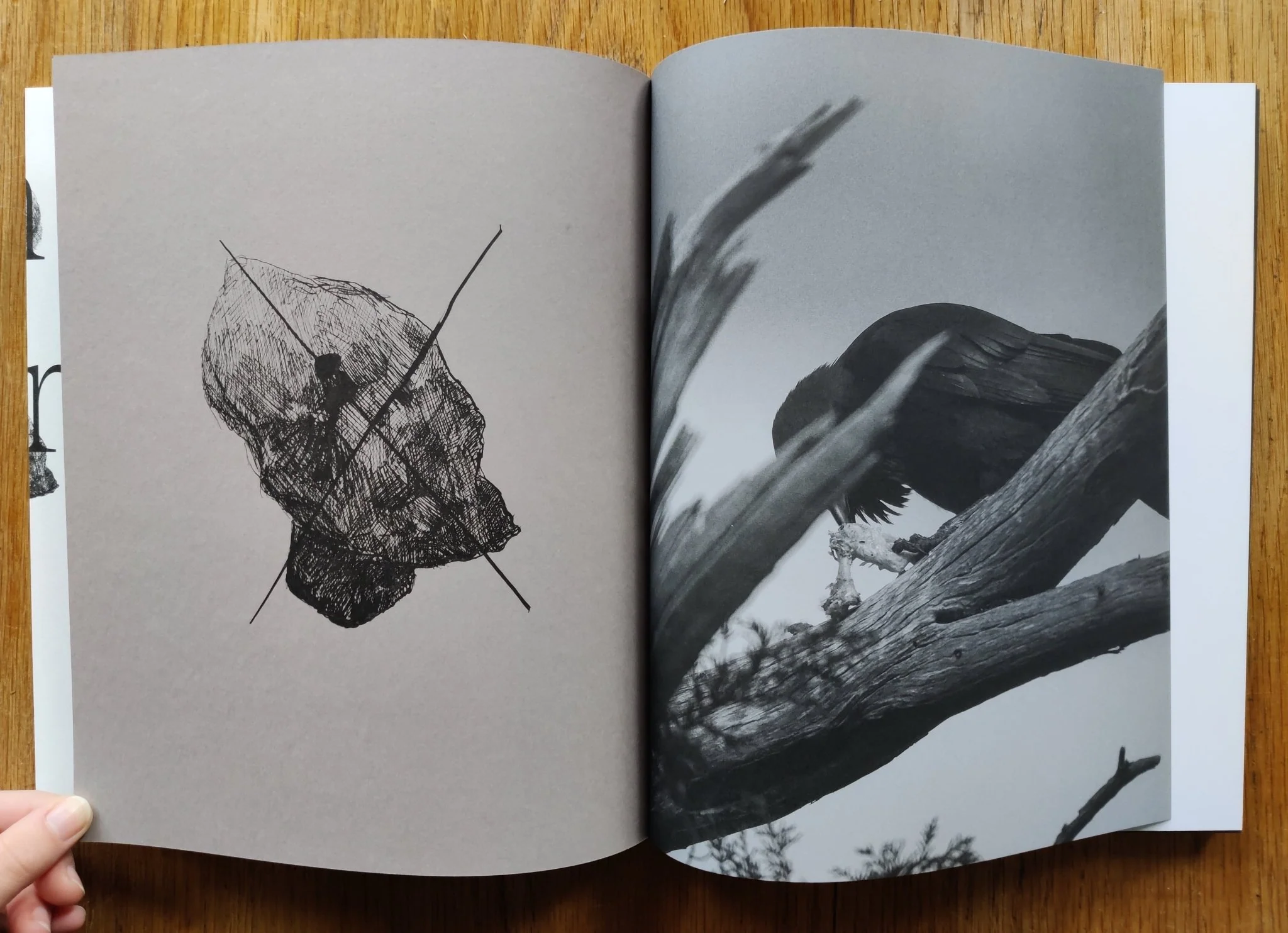 Death is not here - Image 3