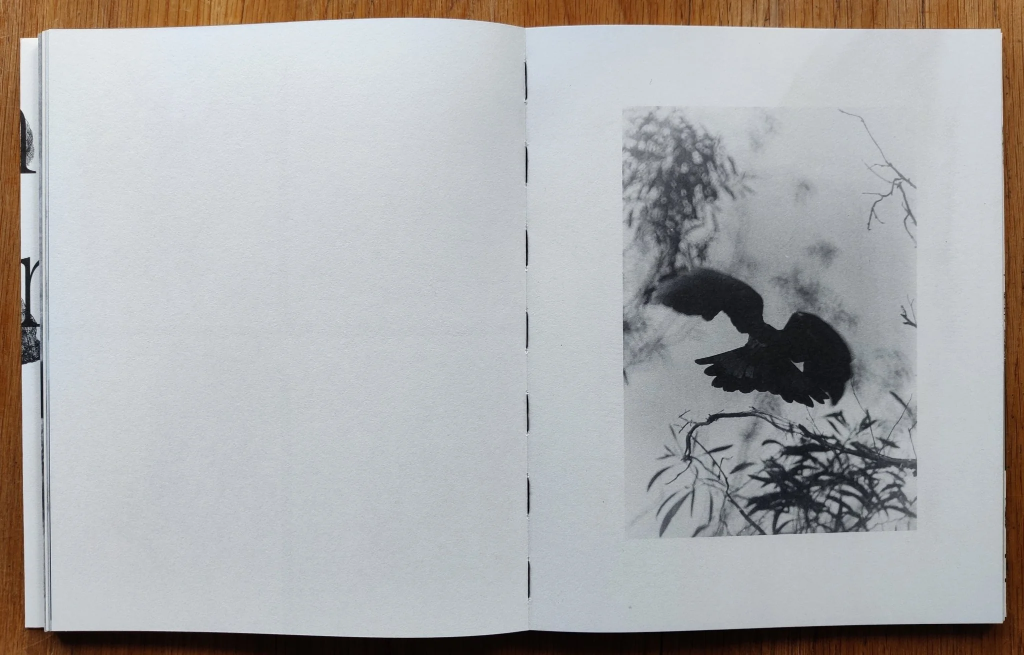 Death is not here - Image 7