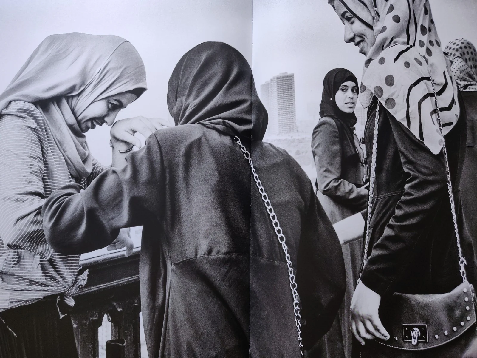 Deglet Nour - Image 5