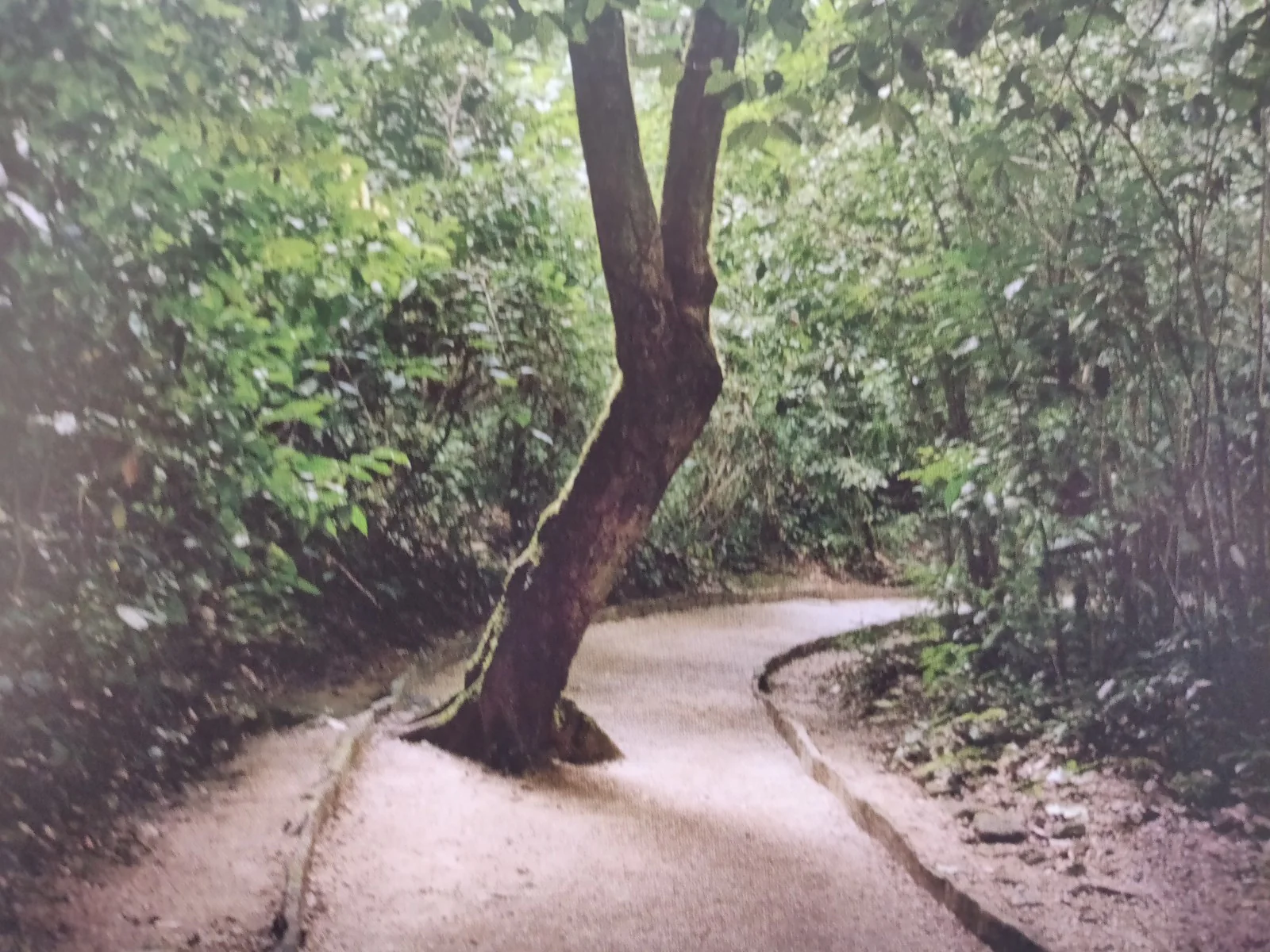 Delta - Image 7