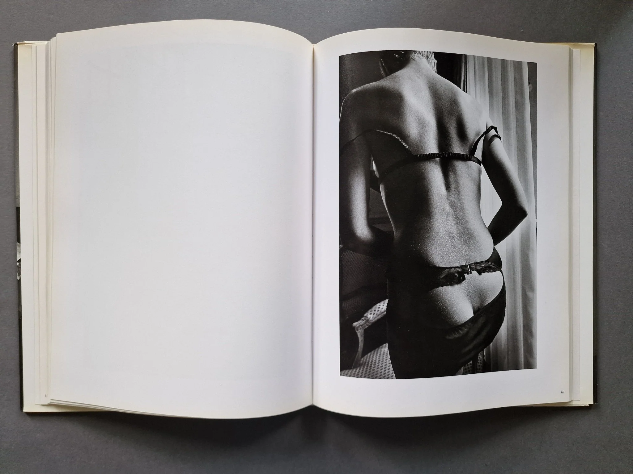 Derrieres - Image 4