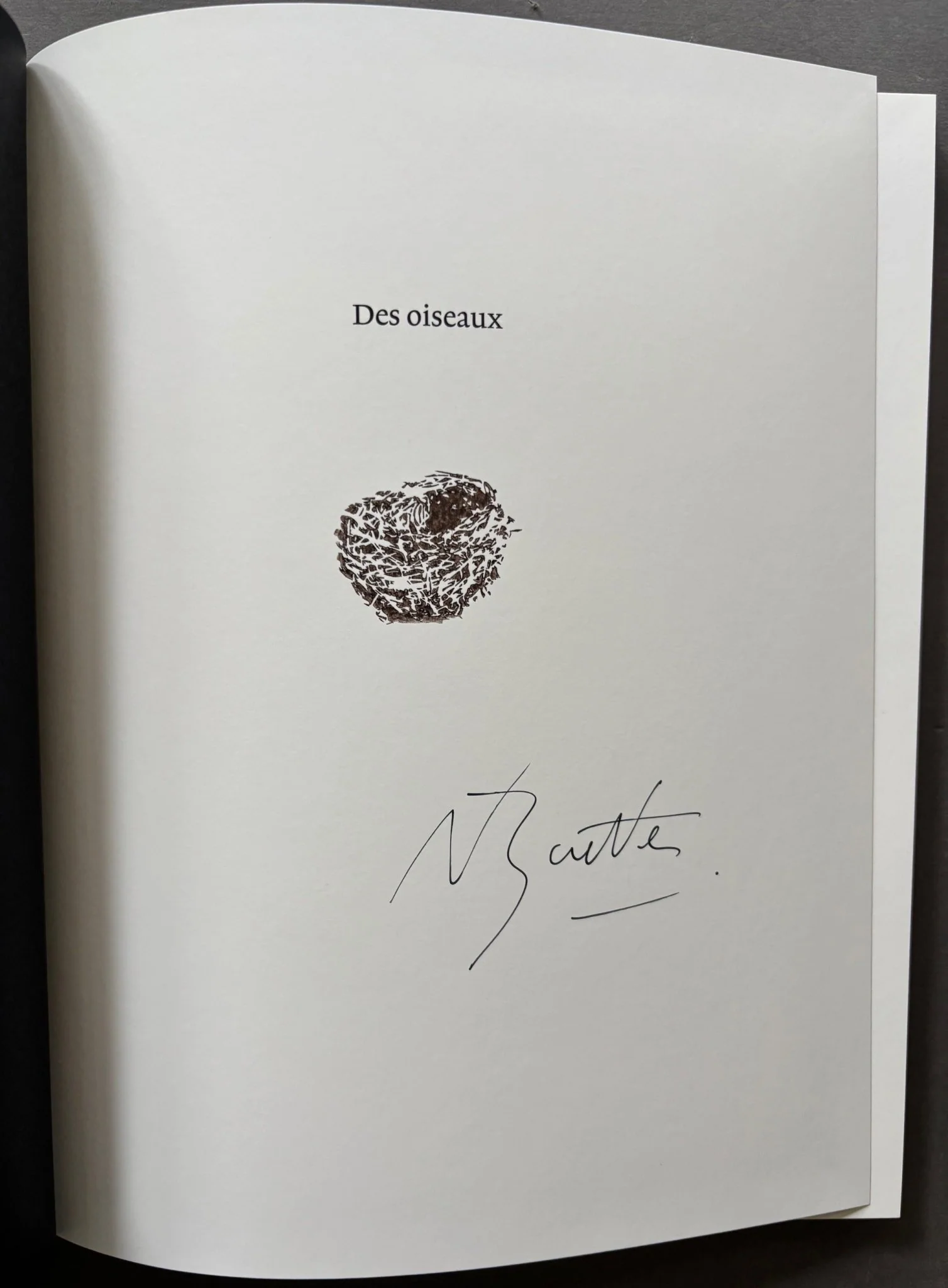 Des oiseaux - Image 2