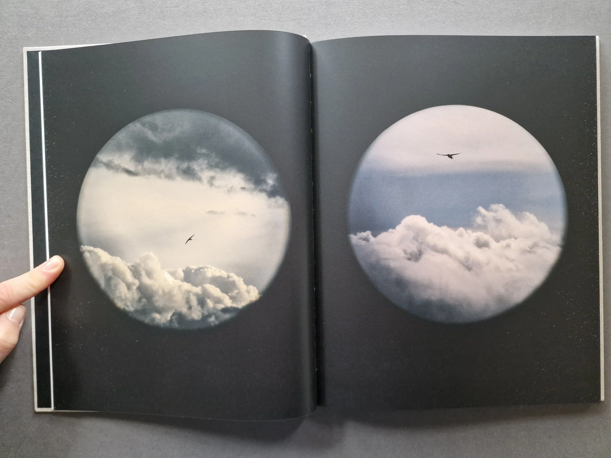 Des Oiseaux - Image 2