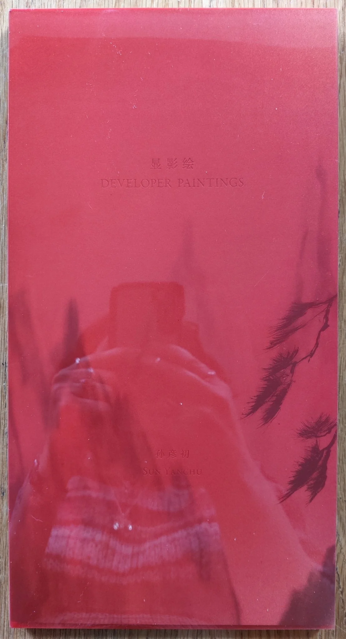 Developer Paintings