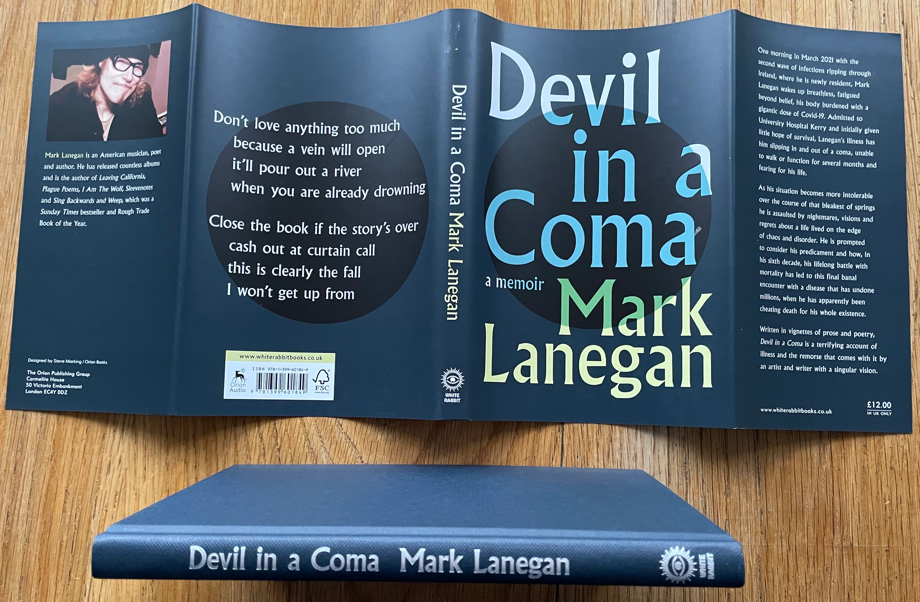 Devil in a Coma - Image 5