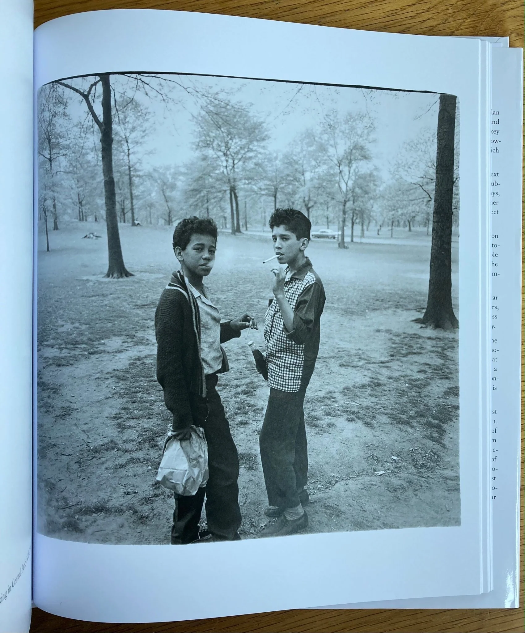 Diane Arbus: An Aperture Monograph - Image 4