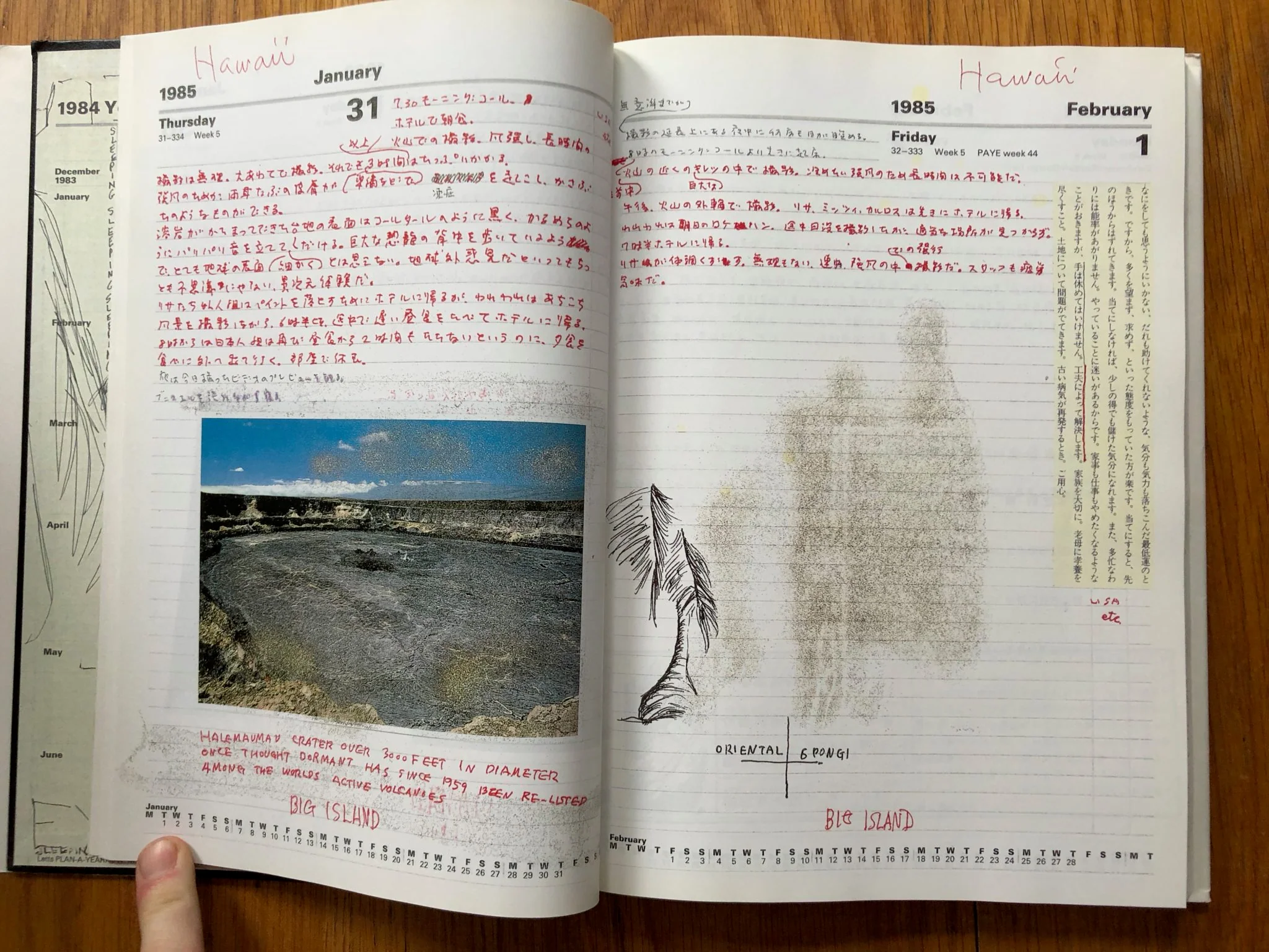 Diary Life 1982- 1995 - Image 4