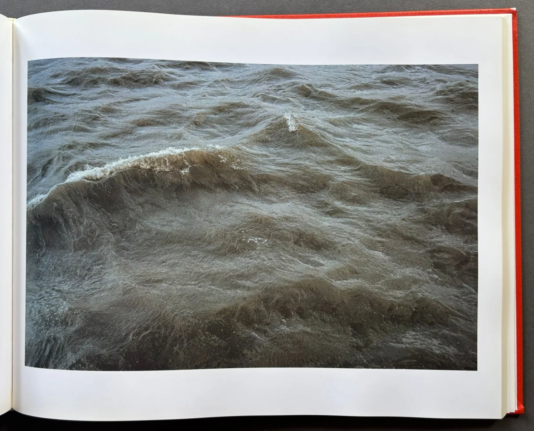 Dictionary of Water - Image 3