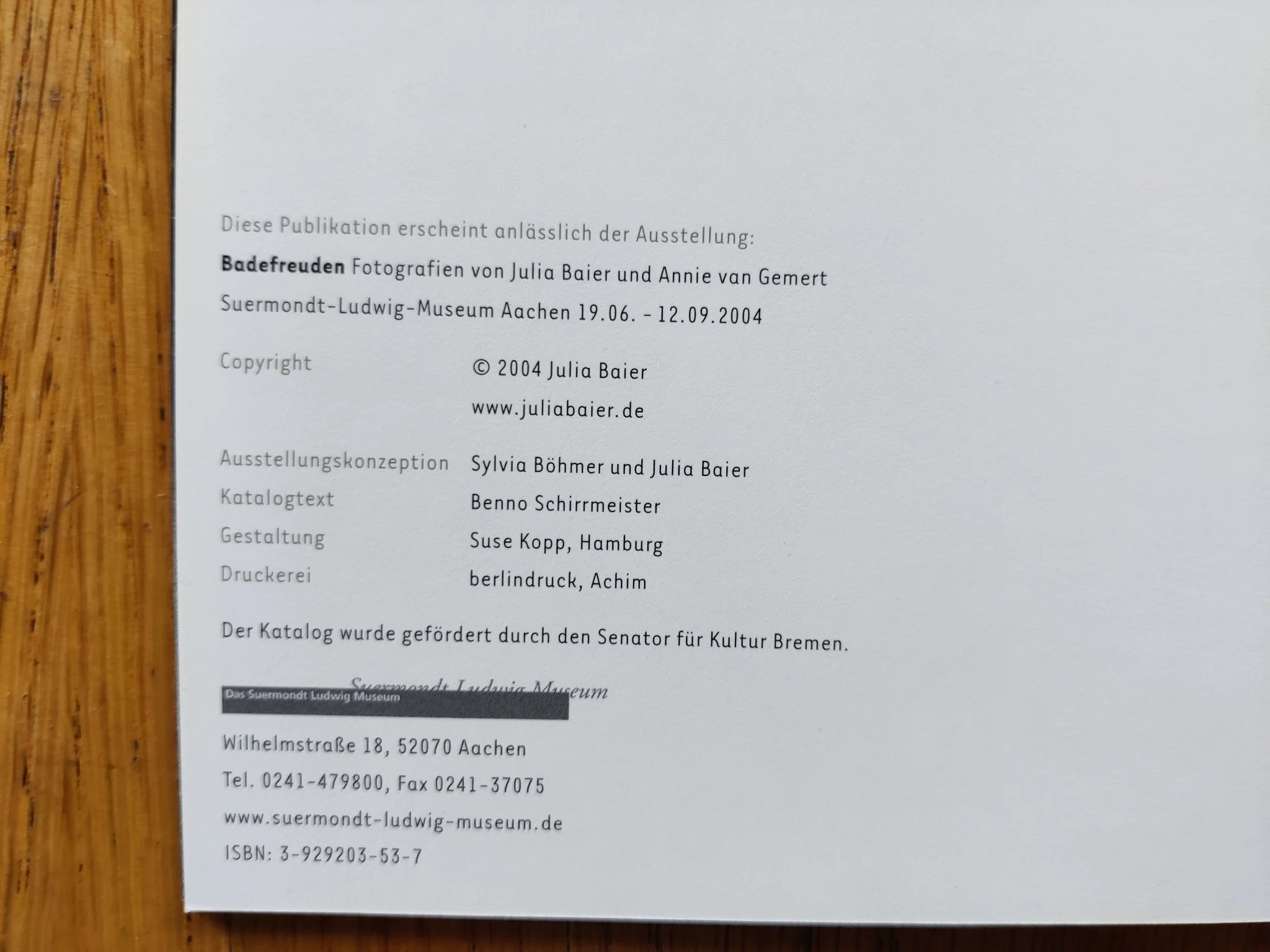 Die Ăffentliche Badeanstalt - Image 3