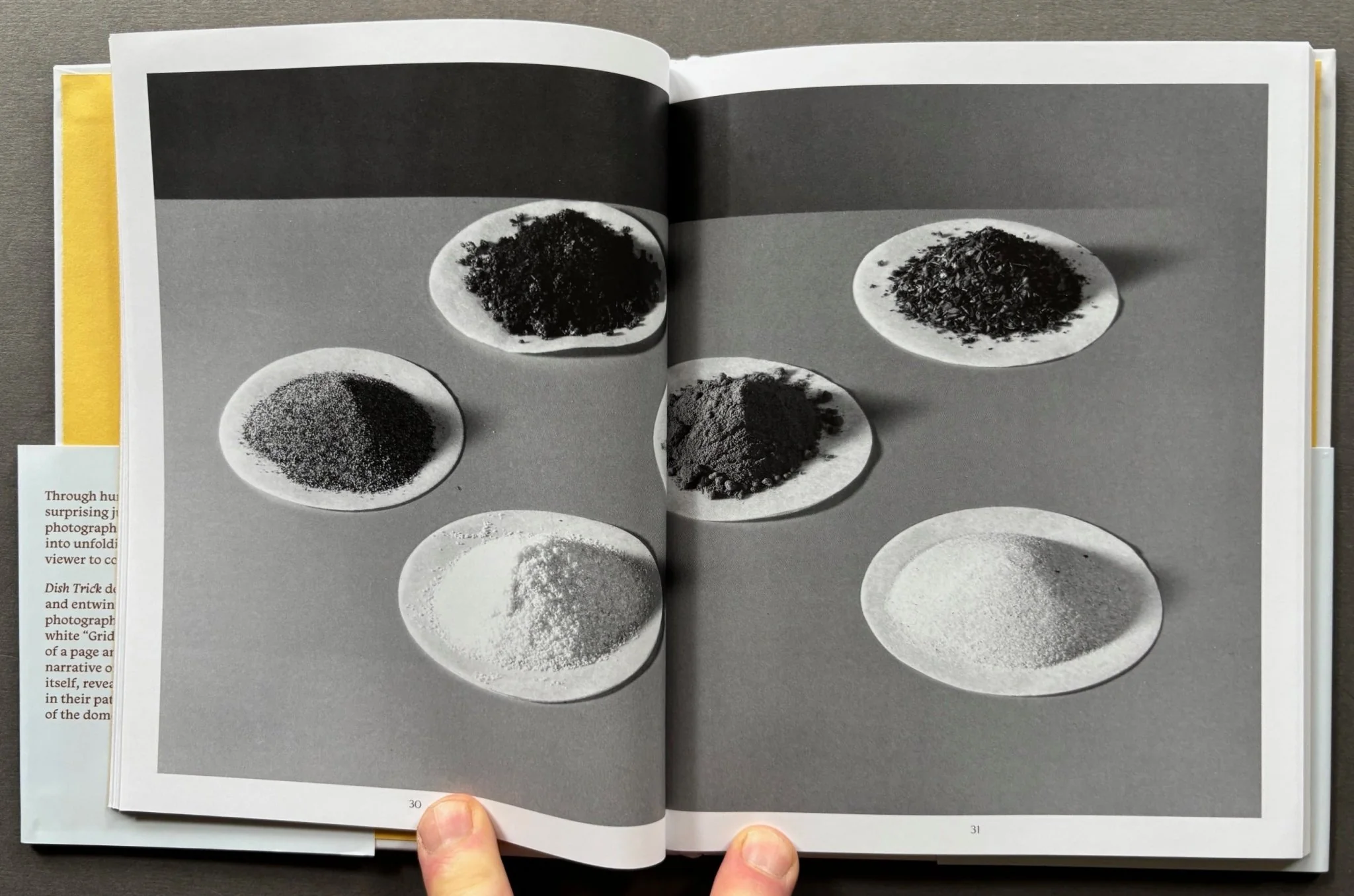 Dish Trick - Image 3