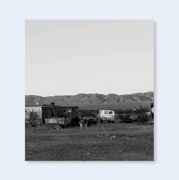 Dogs Chasing My Car in the Desert