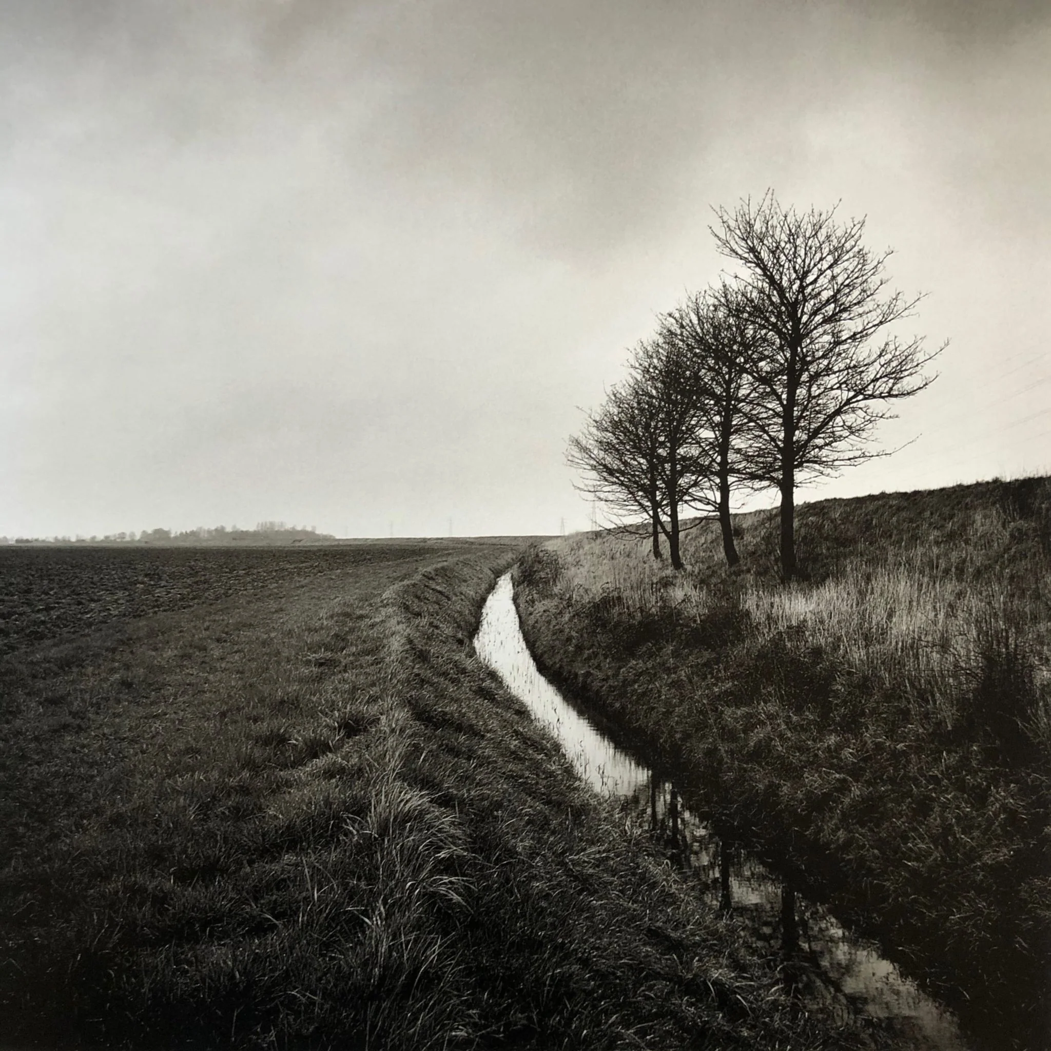 Drained - Image 4