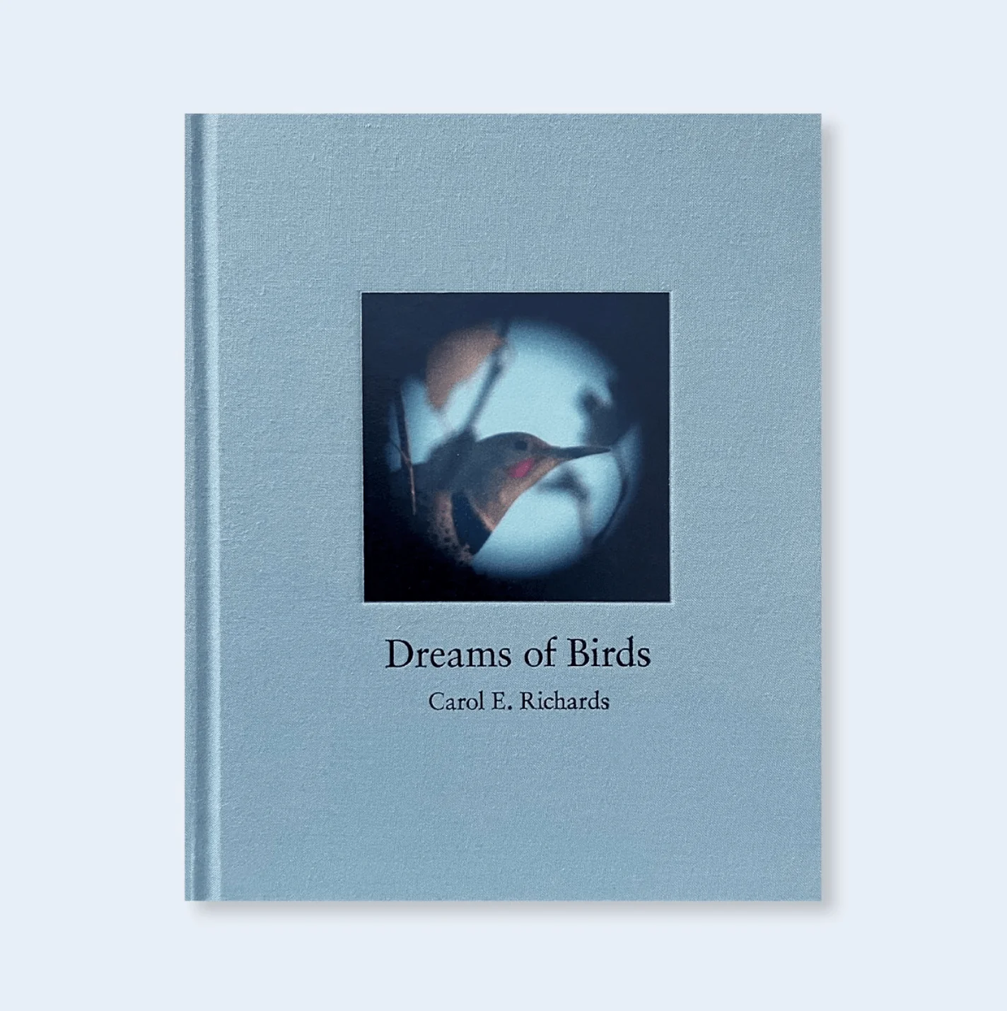 Dreams of Birds