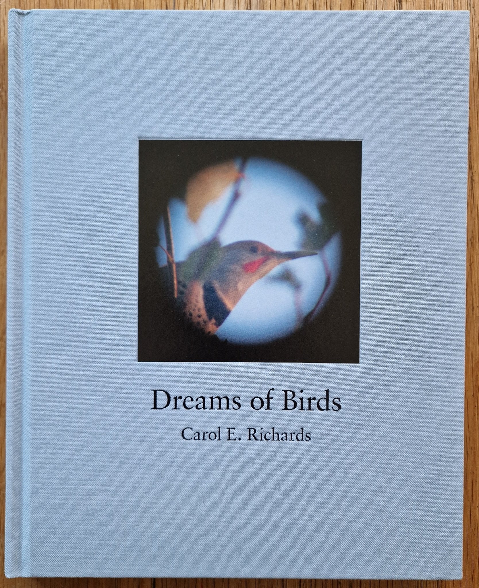 Dreams of Birds - Image 2