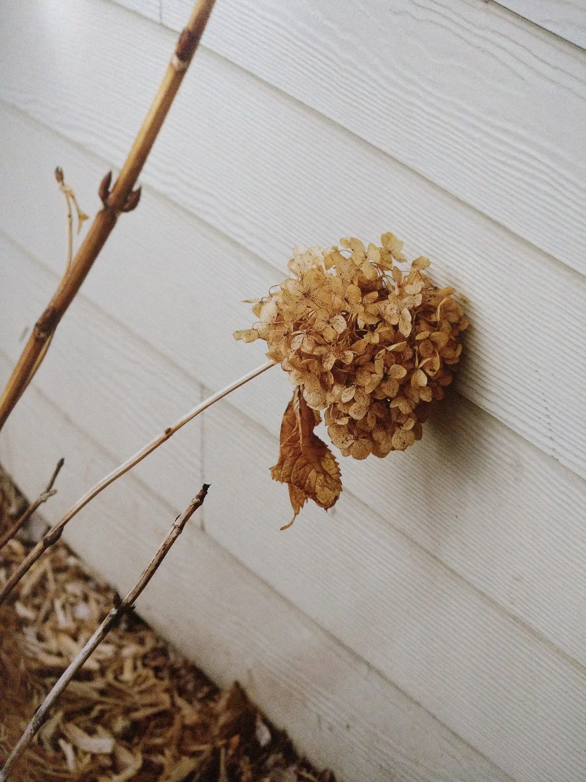 Driftless - Image 4