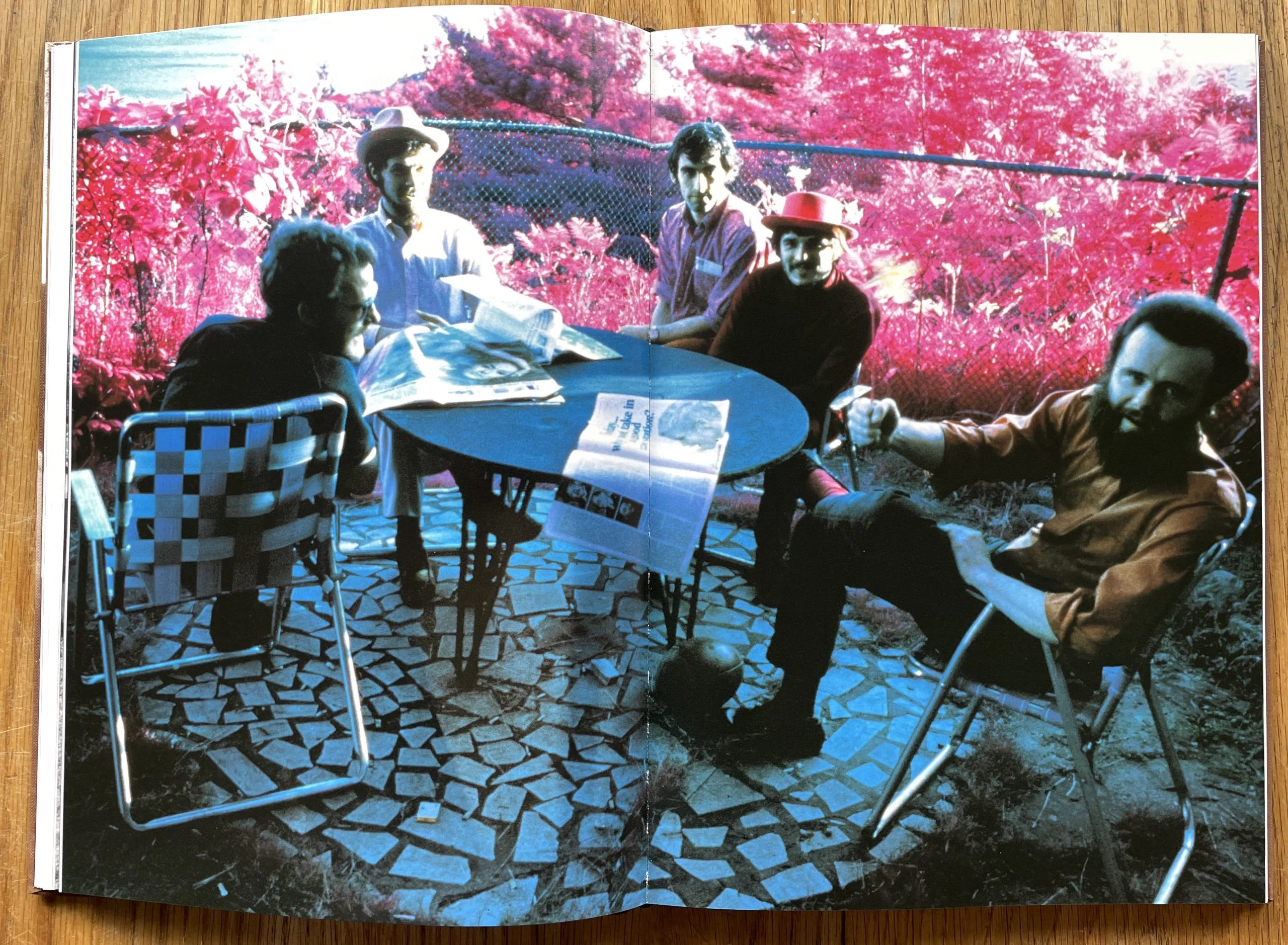 Dylan in Woodstock - Image 3