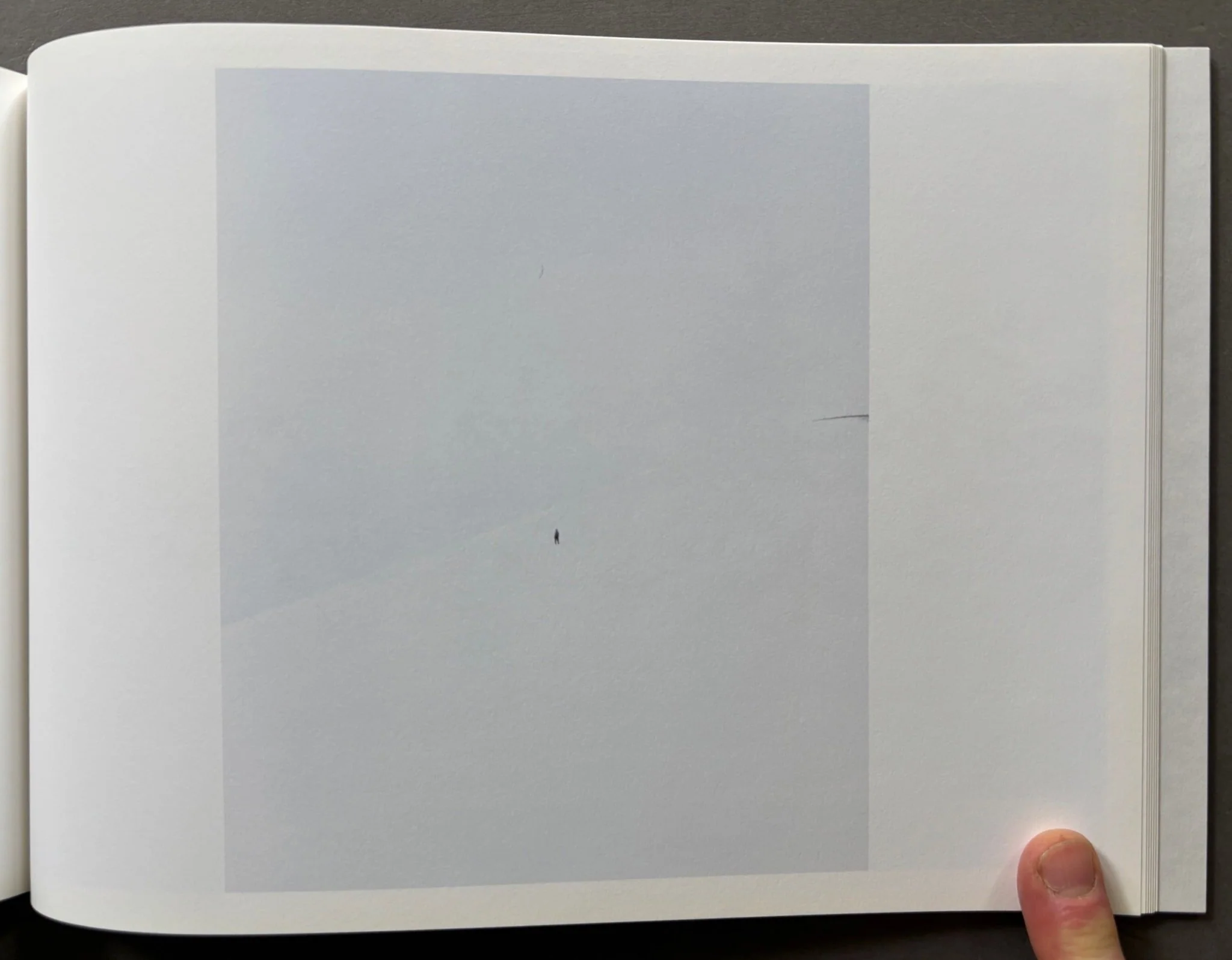 Echo - Image 5
