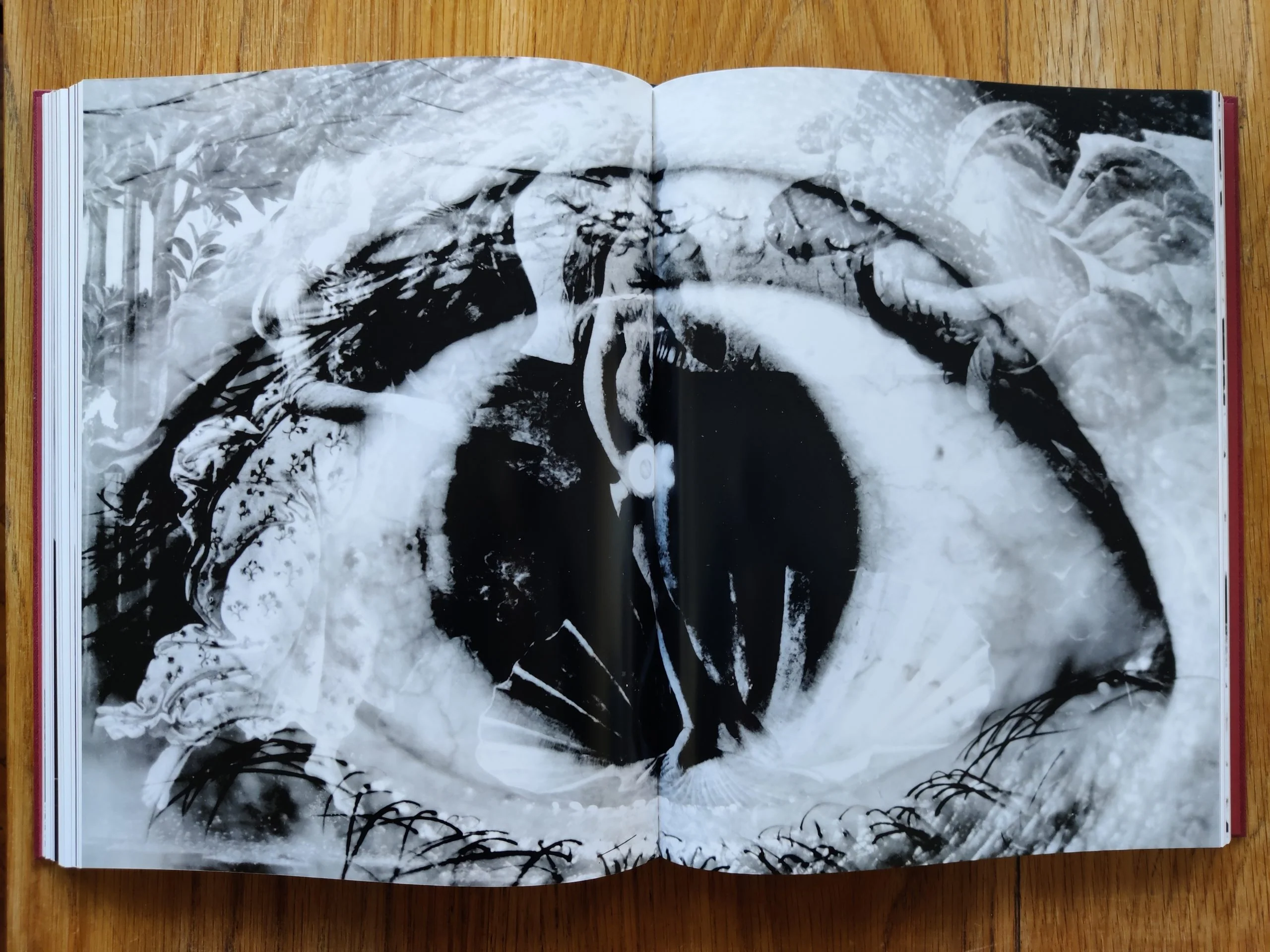 Eikoh Hosoe (English edition) - Image 4