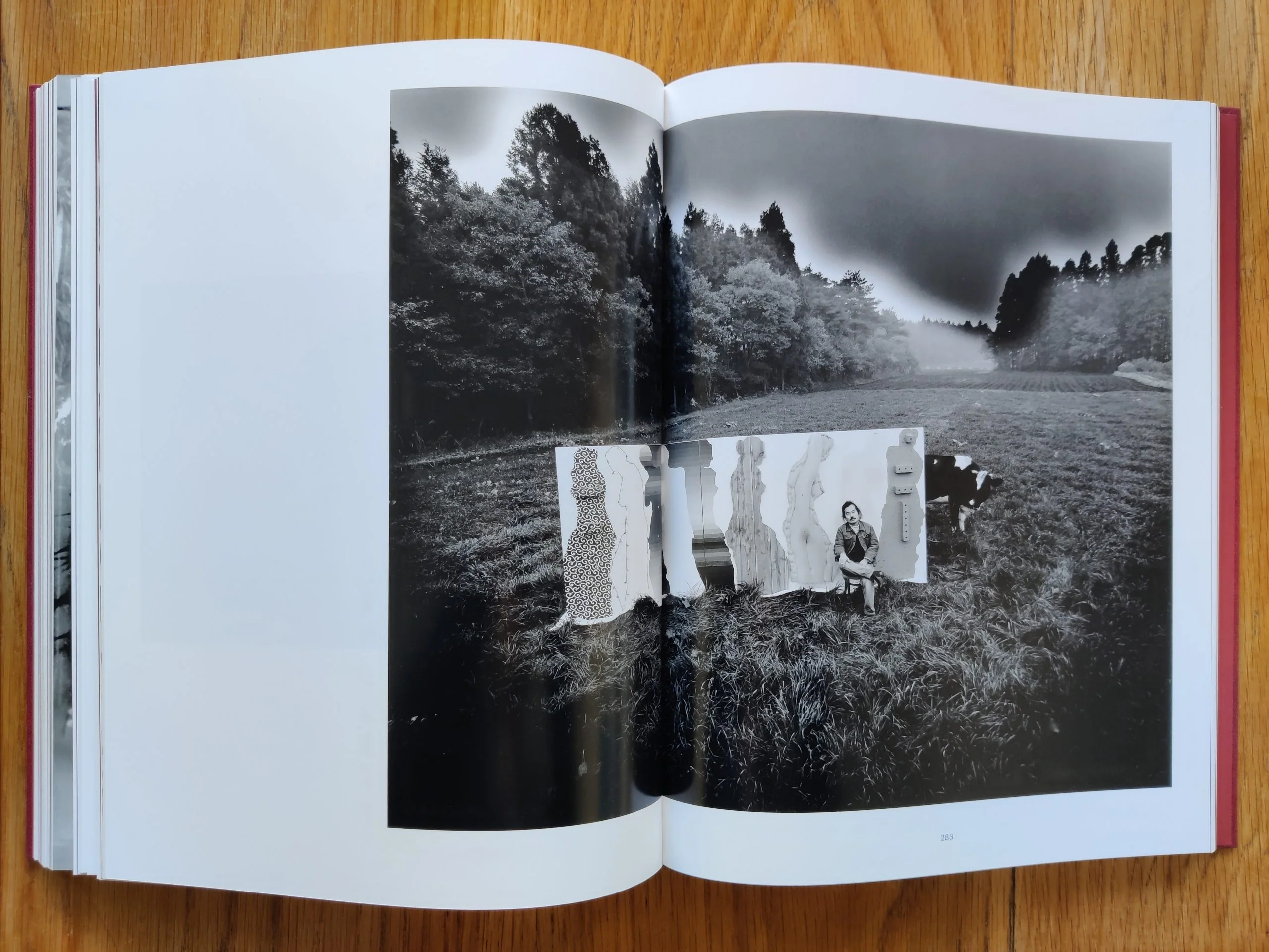 Eikoh Hosoe (English edition) - Image 5