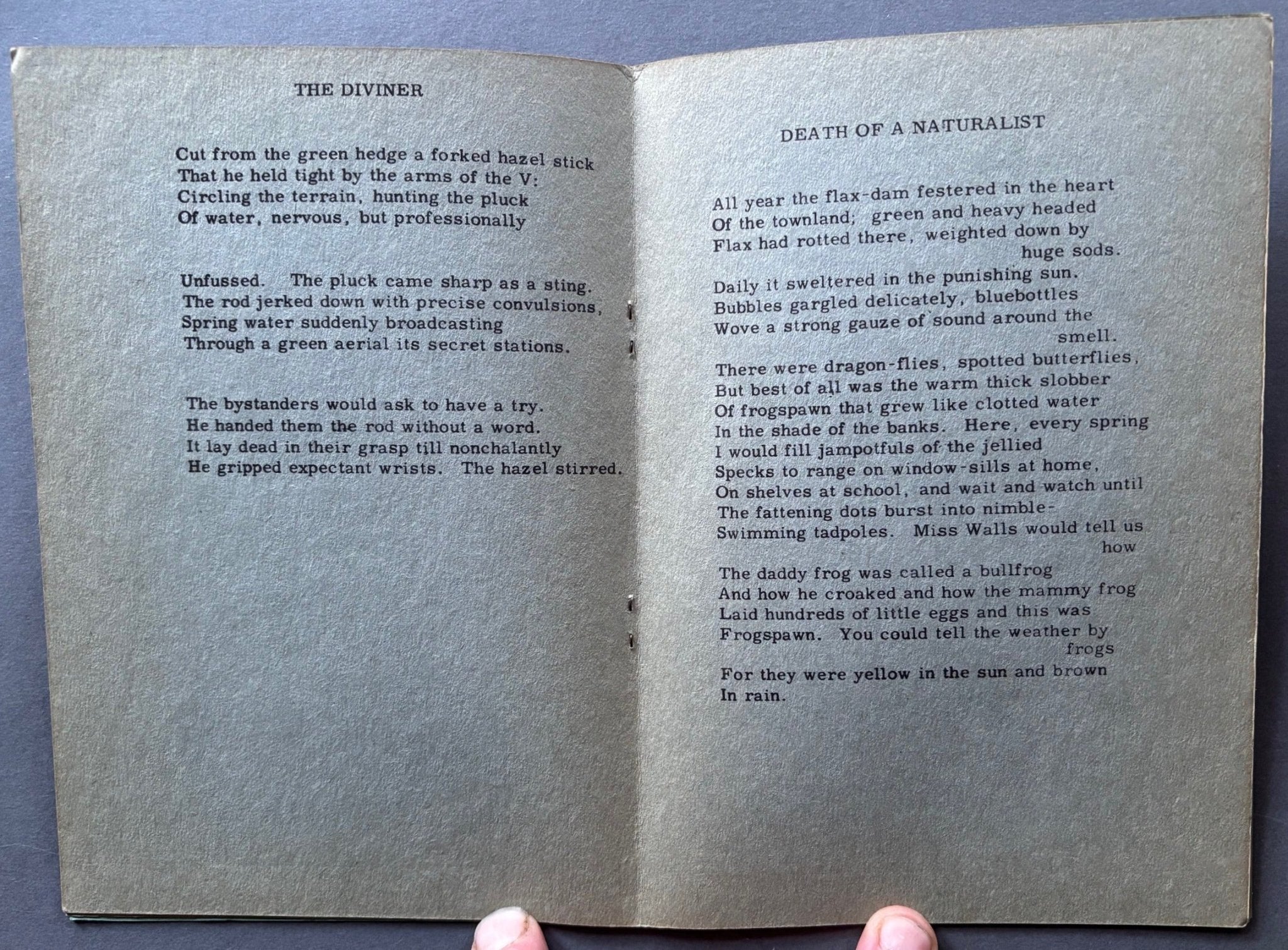 Eleven Poems - Image 4